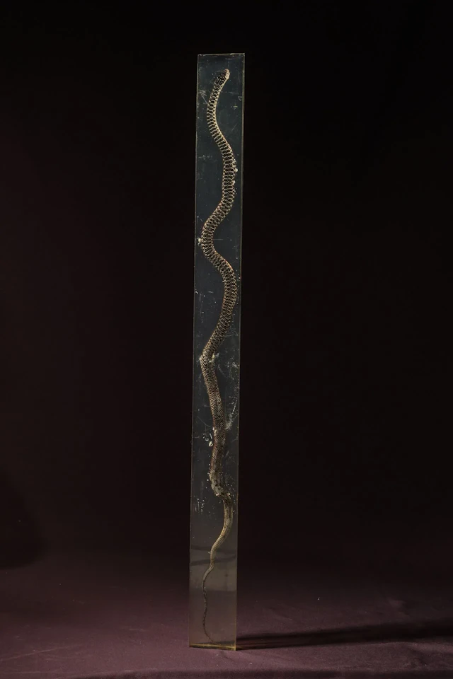 [ARTIFICIALIA] - Lot 214