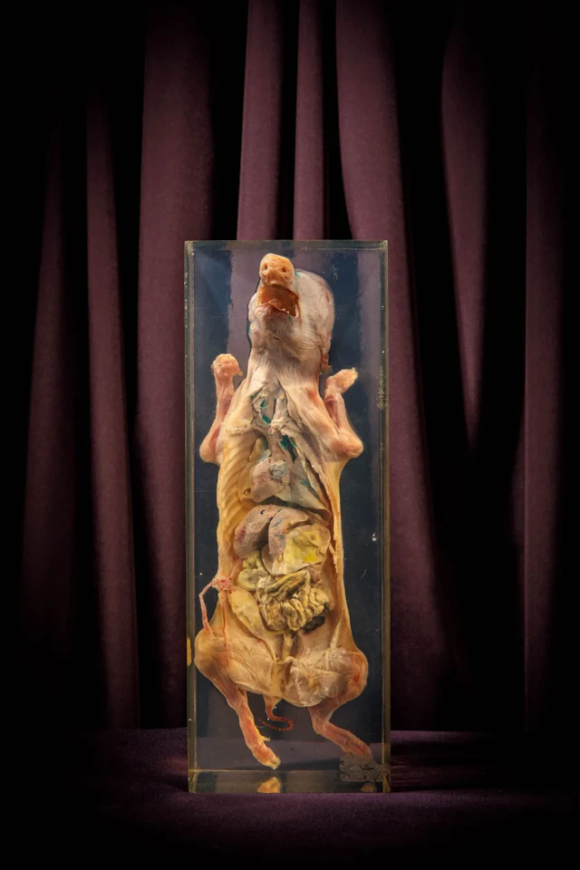 [ARTIFICIALIA] - Lot 229