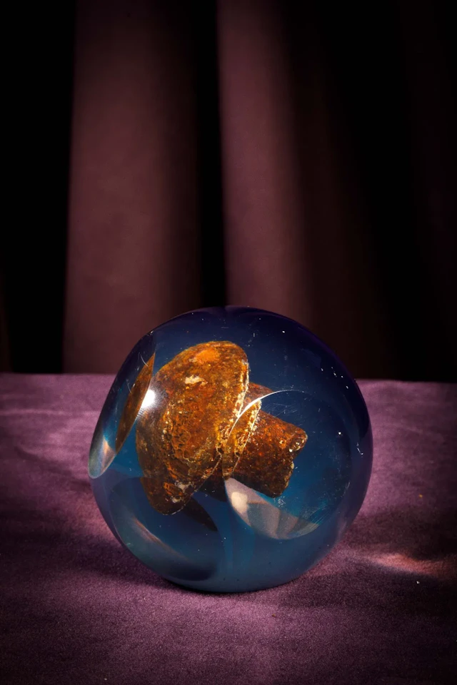 [ARTIFICIALIA] - Lot 273