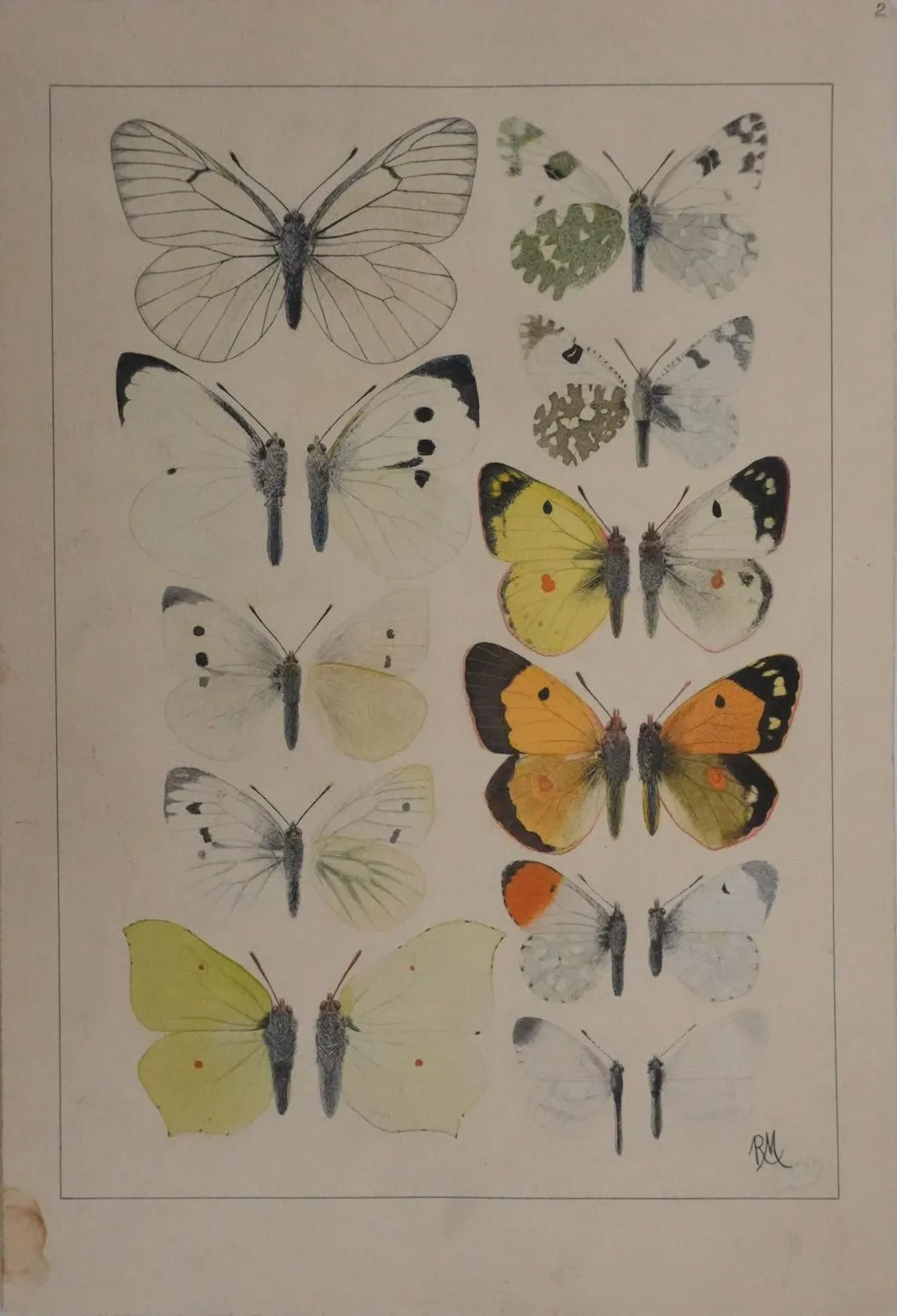 Roger METAYE (1921-2006) - Lot 360