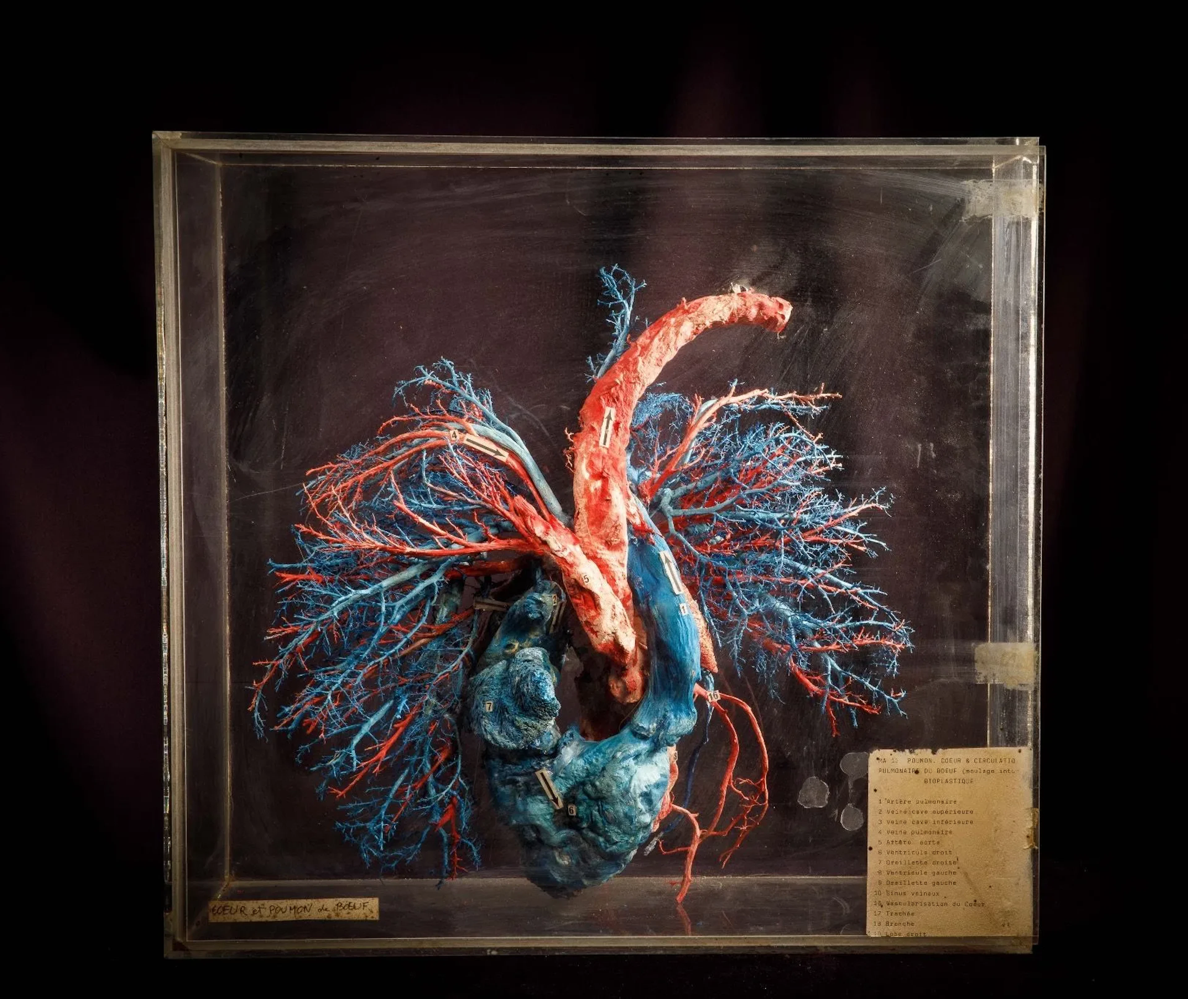 [ARTIFICIALIA] - Lot 249