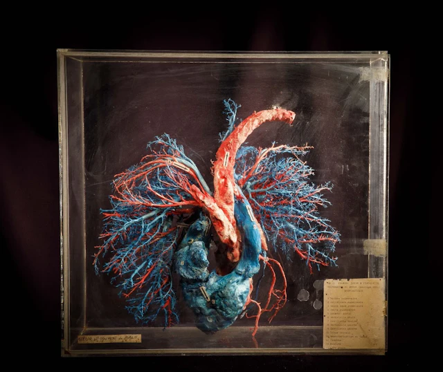 [ARTIFICIALIA] - Lot 249