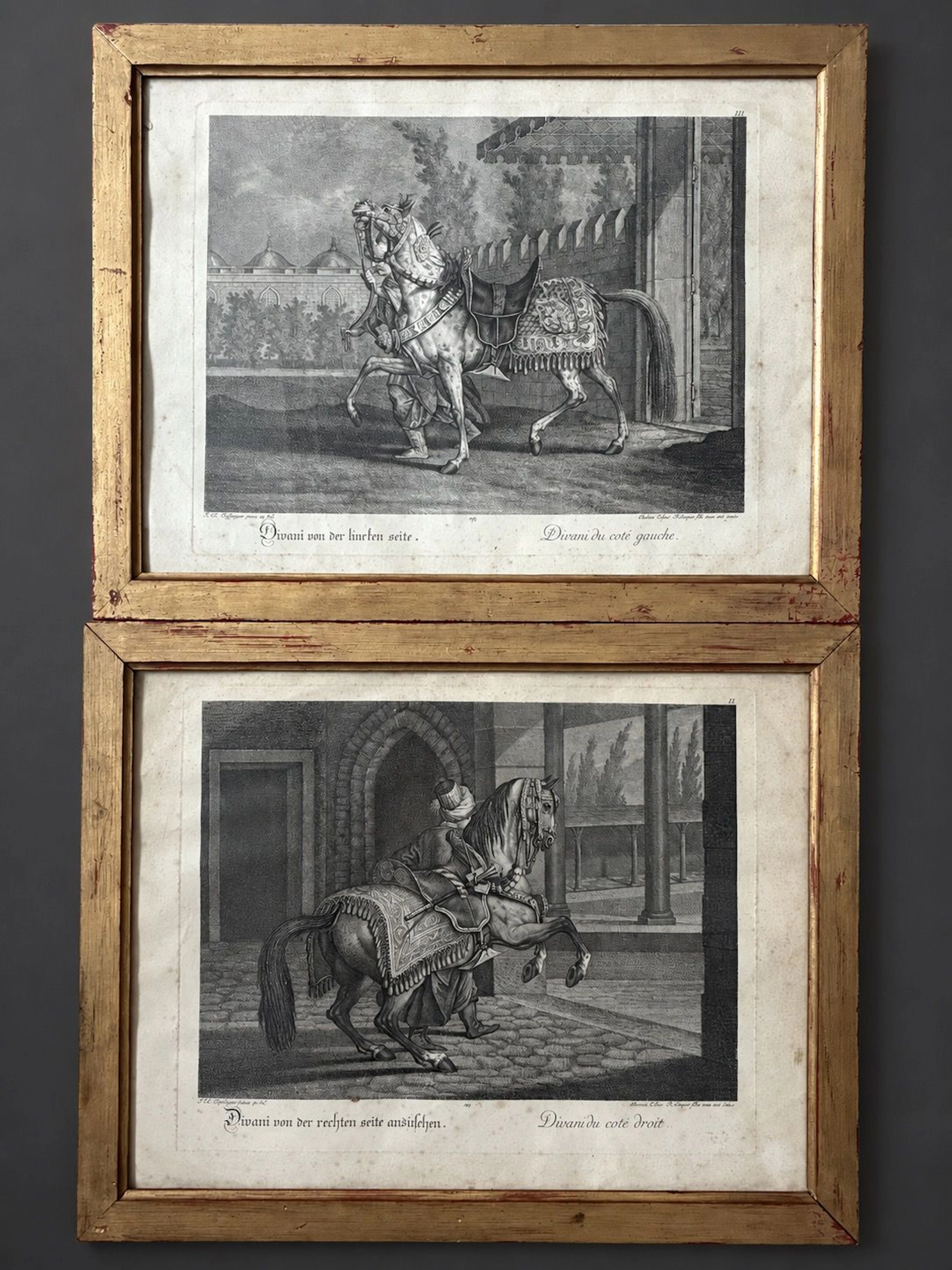 After Johann Elias RIDINGER (1698–1767) - Lot 157