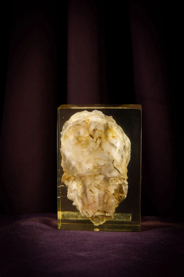 [ARTIFICIALIA] - Lot 149