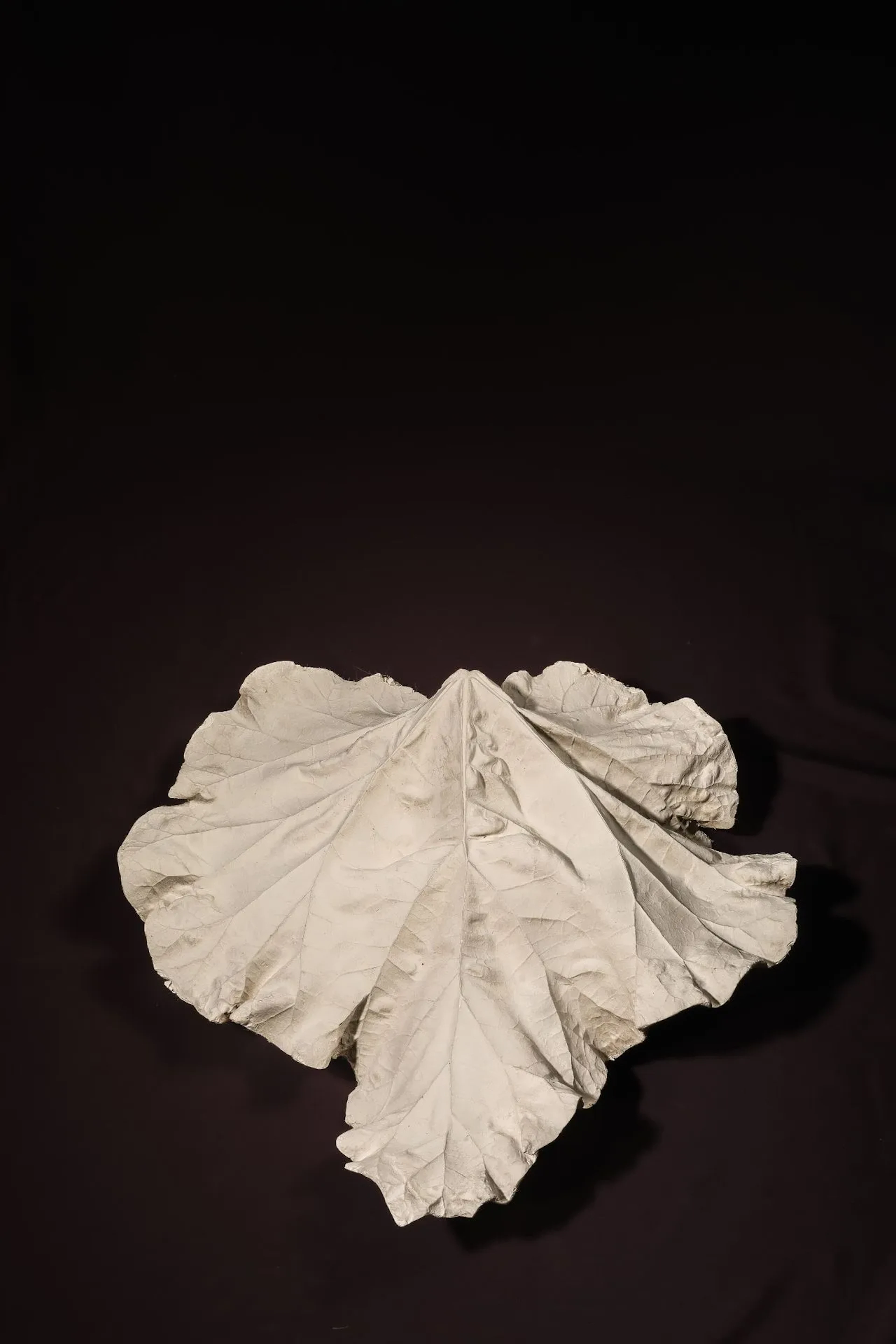 [ARTIFICIALIA] - Lot 264