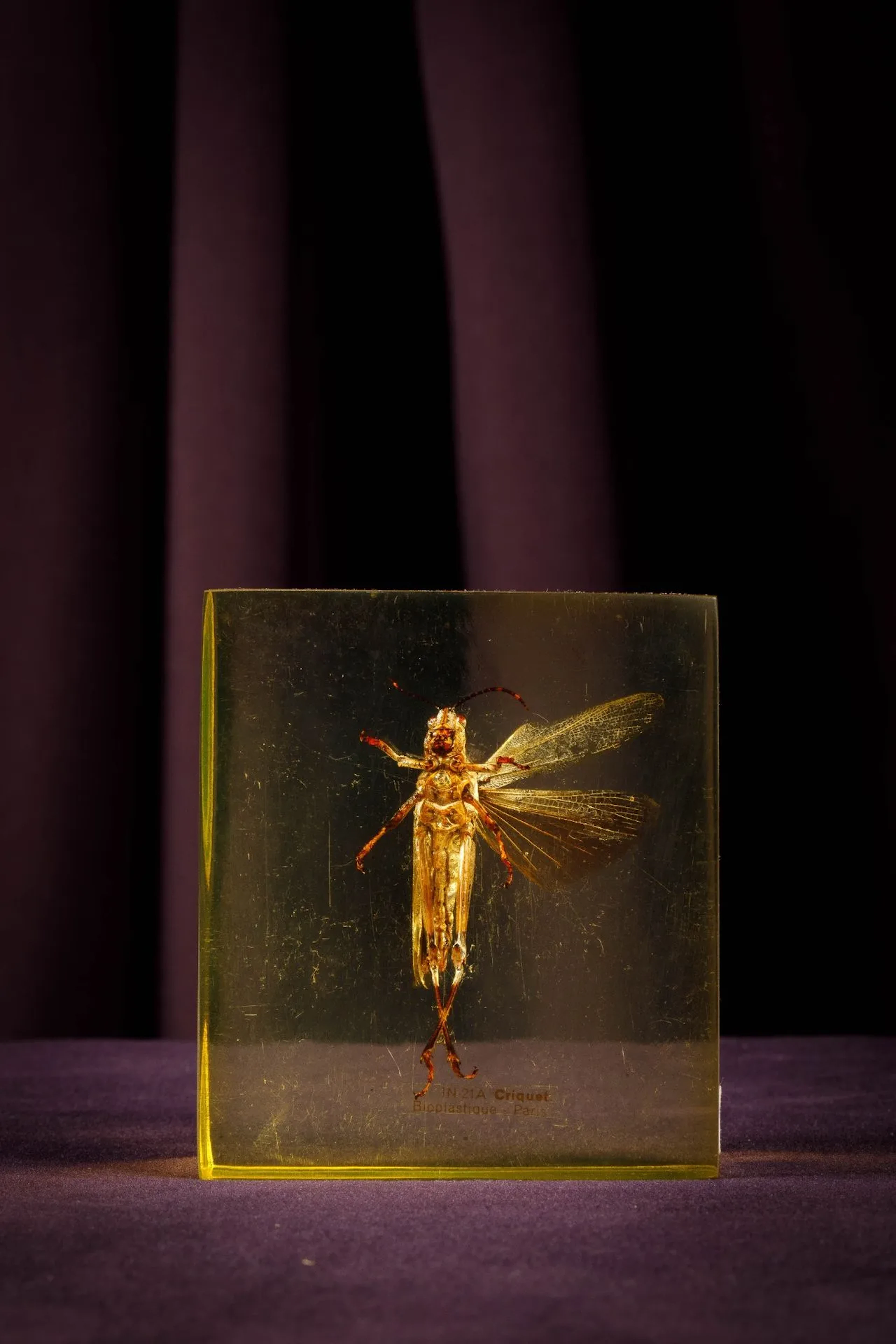 [ARTIFICIALIA] - Lot 199