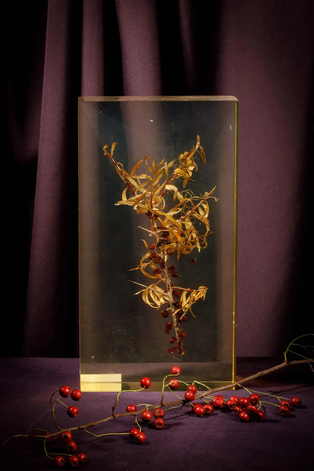 [ARTIFICIALIA] - Lot 165