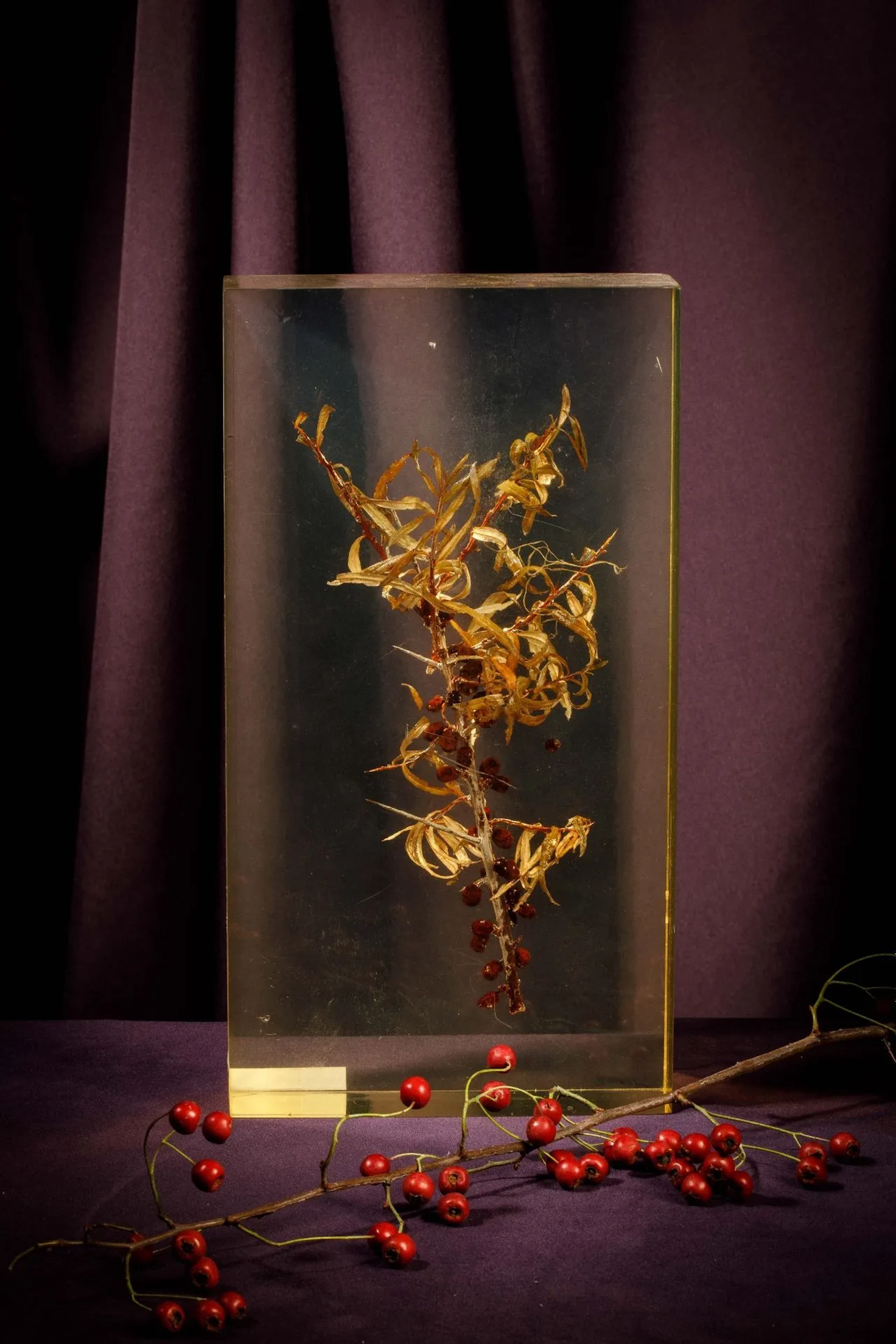 [ARTIFICIALIA] - Lot 165