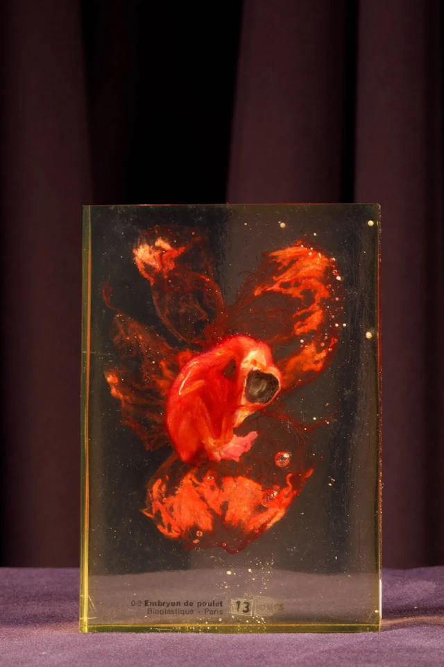 [ARTIFICIALIA] - Lot 180