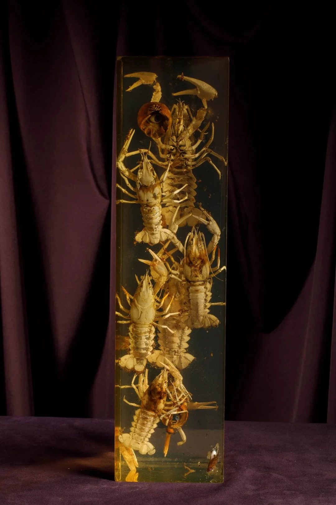 [ARTIFICIALIA] - Lot 127