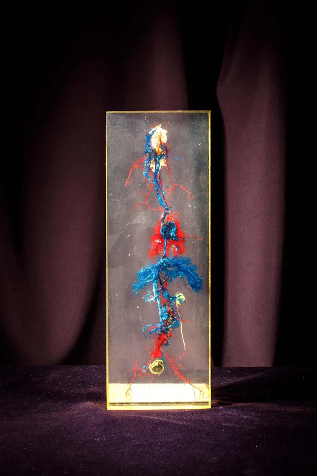 [ARTIFICIALIA] - Lot 248