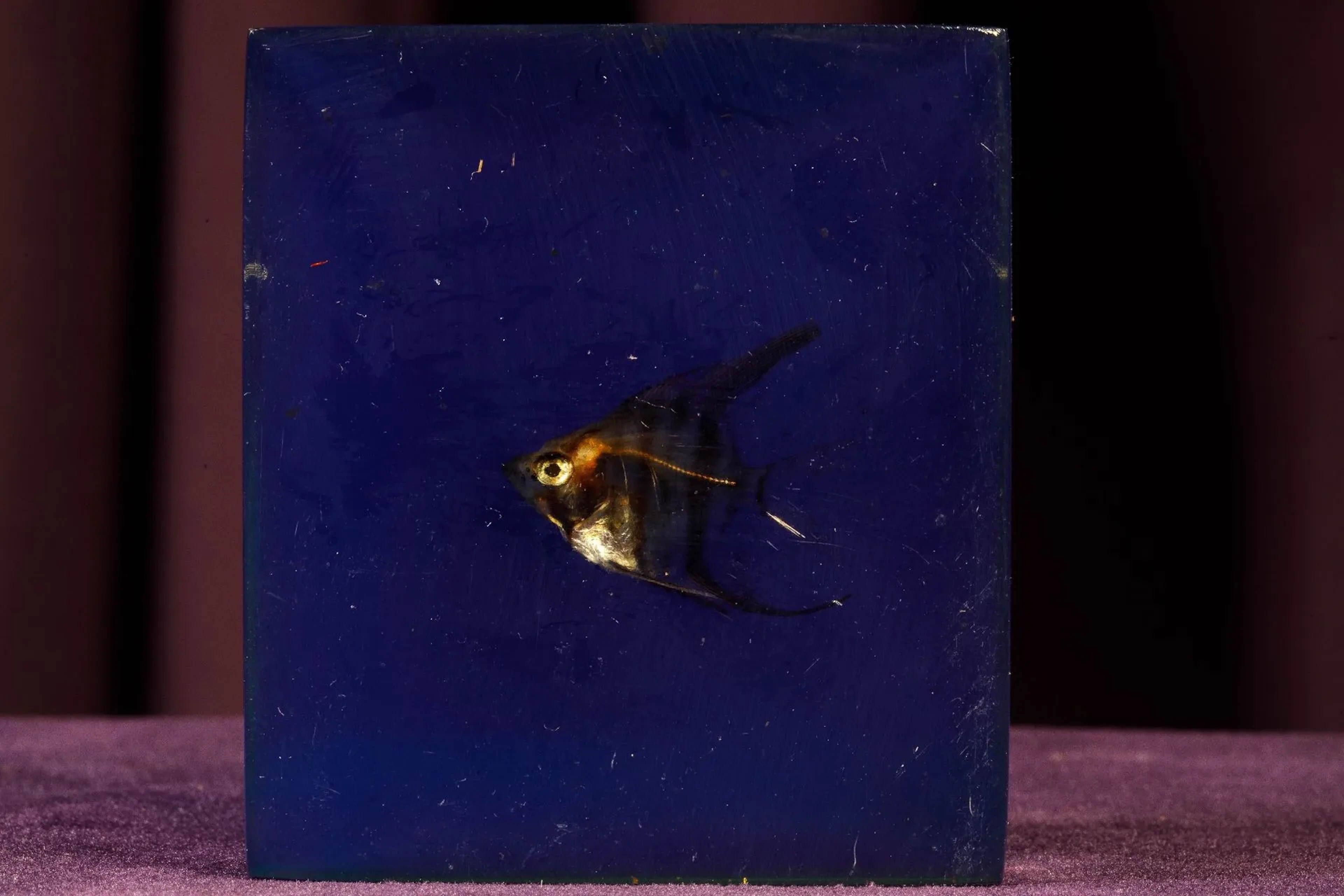 [ARTIFICIALIA] - Lot 153