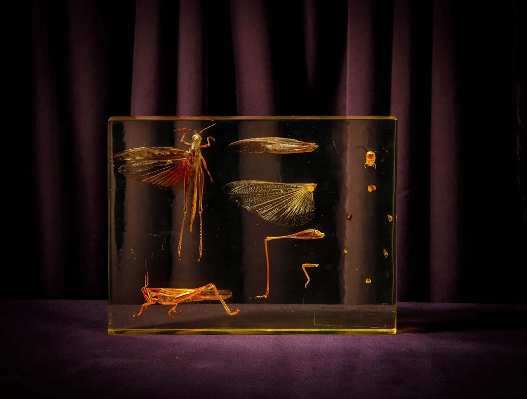 [ARTIFICIALIA] - Lot 183