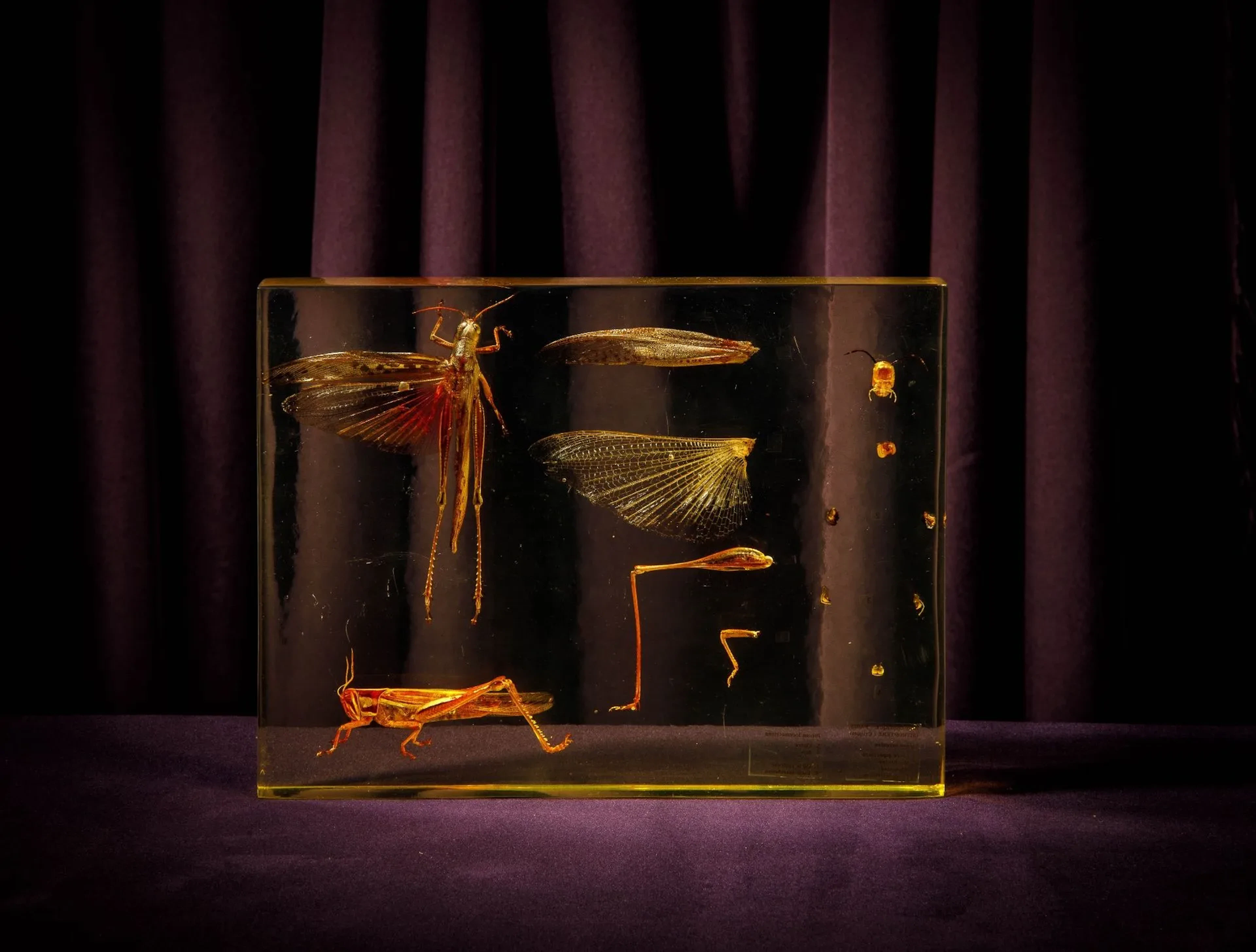 [ARTIFICIALIA] - Lot 183