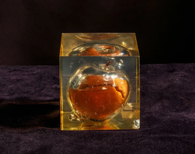 [ARTIFICIALIA] - Lot 225