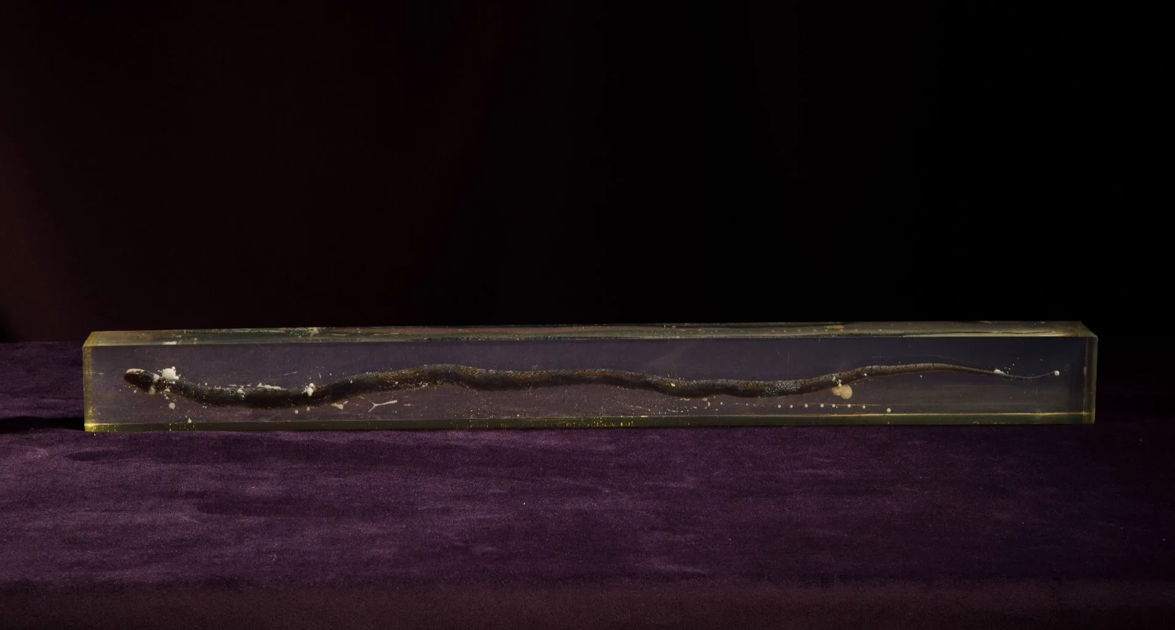 [ARTIFICIALIA] - Lot 216