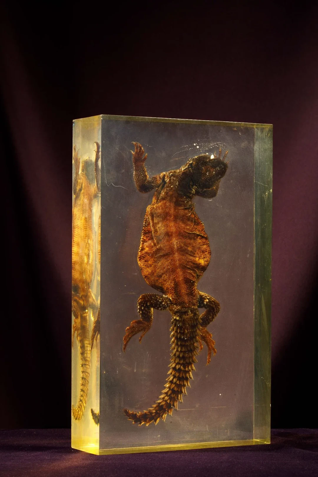 [ARTIFICIALIA] - Lot 215