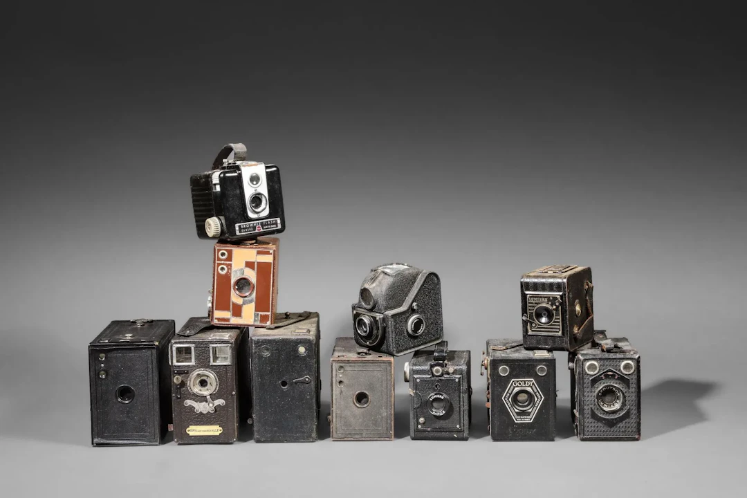 A collection of eleven assorted cameras in their current con - Lot 59