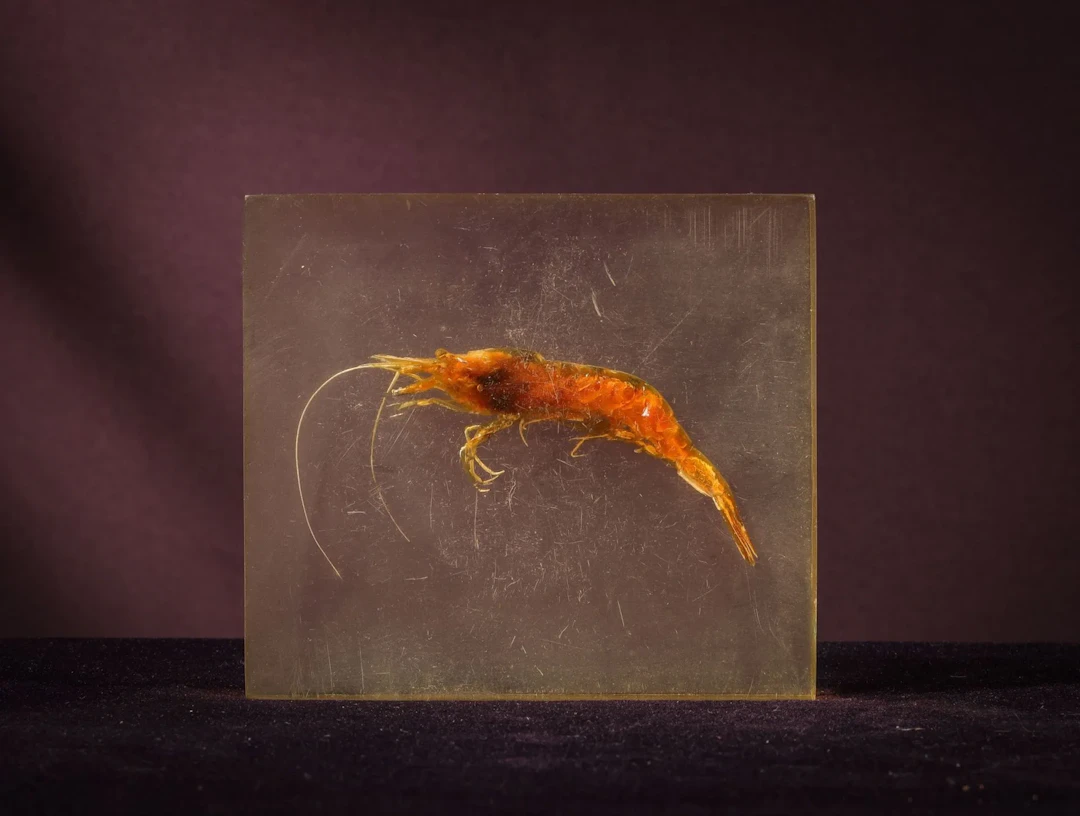 [ARTIFICIALIA] - Lot 134