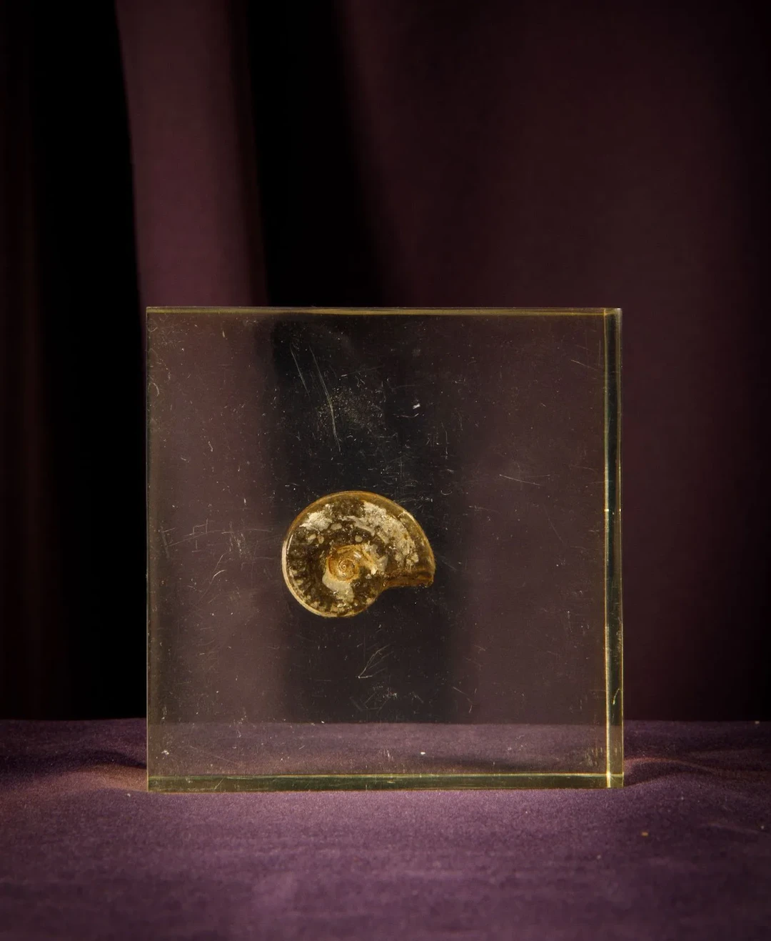 [ARTIFICIALIA] - Lot 157