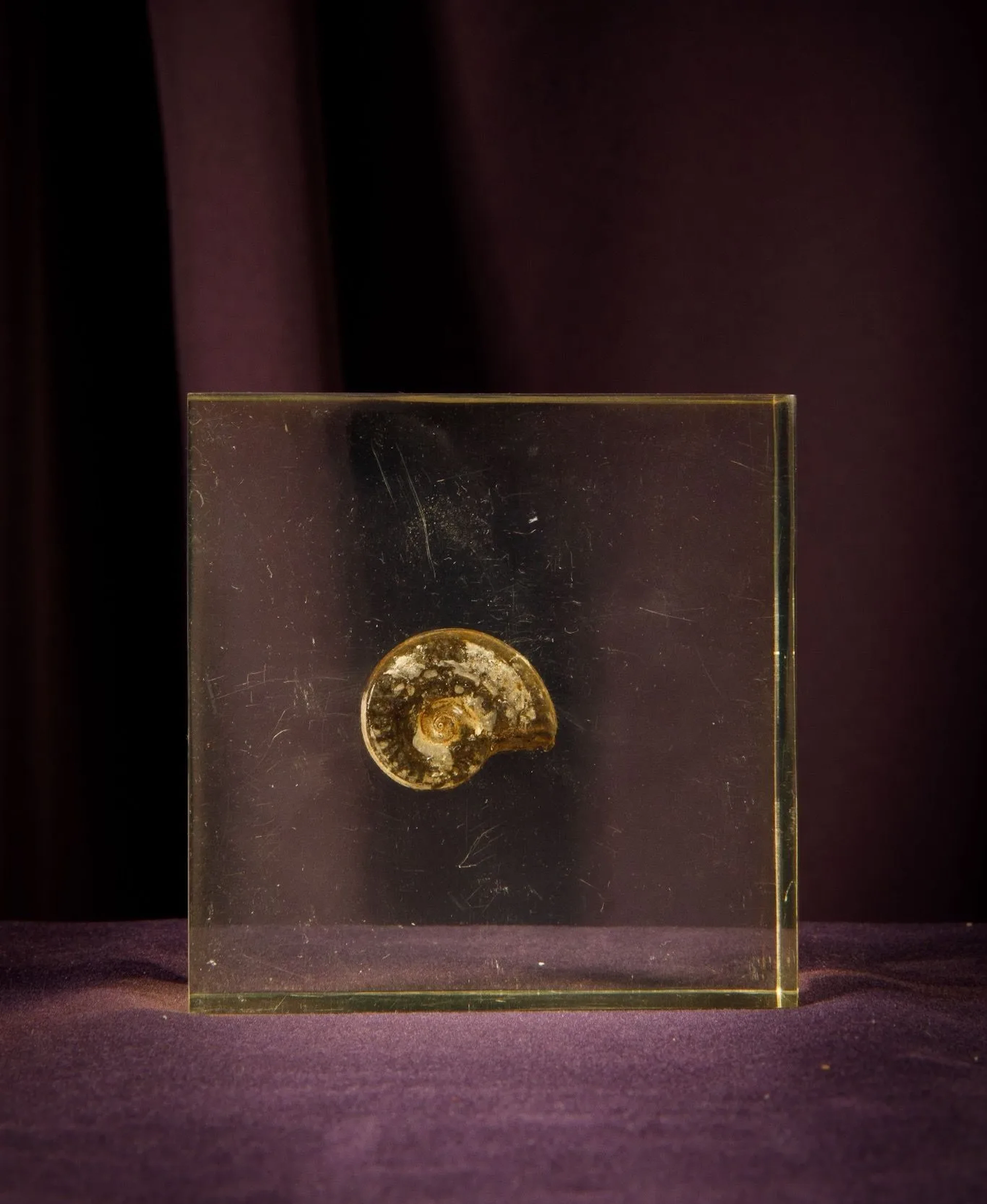 [ARTIFICIALIA] - Lot 157
