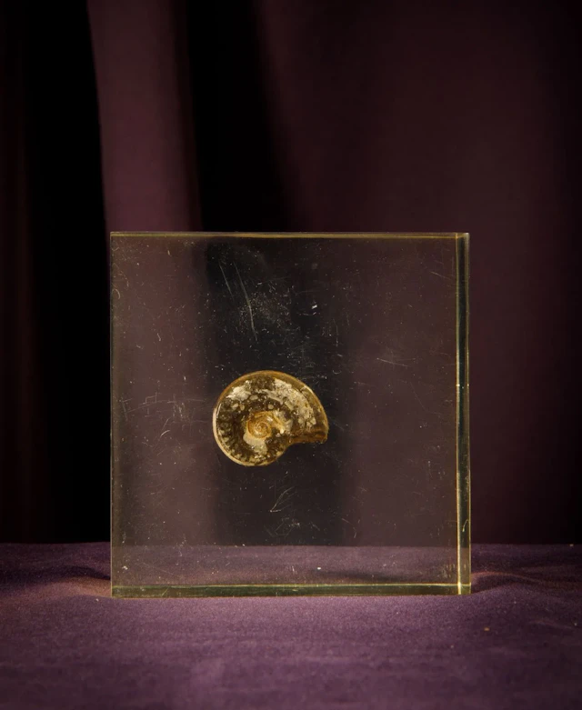 [ARTIFICIALIA] - Lot 157