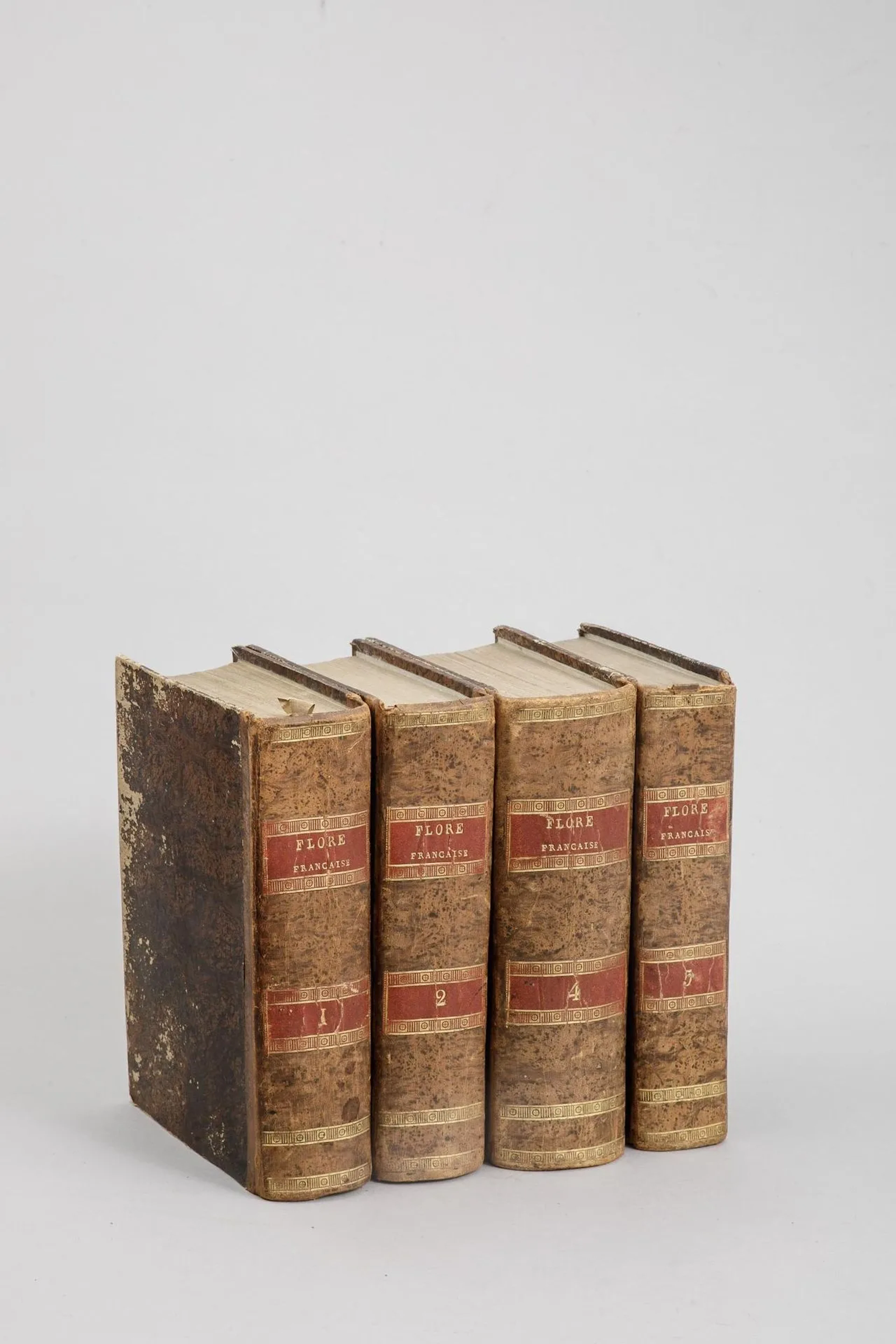 [ARTIFICIALIA] - Lot 54