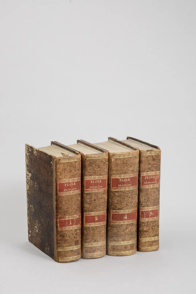 [ARTIFICIALIA] - Lot 54