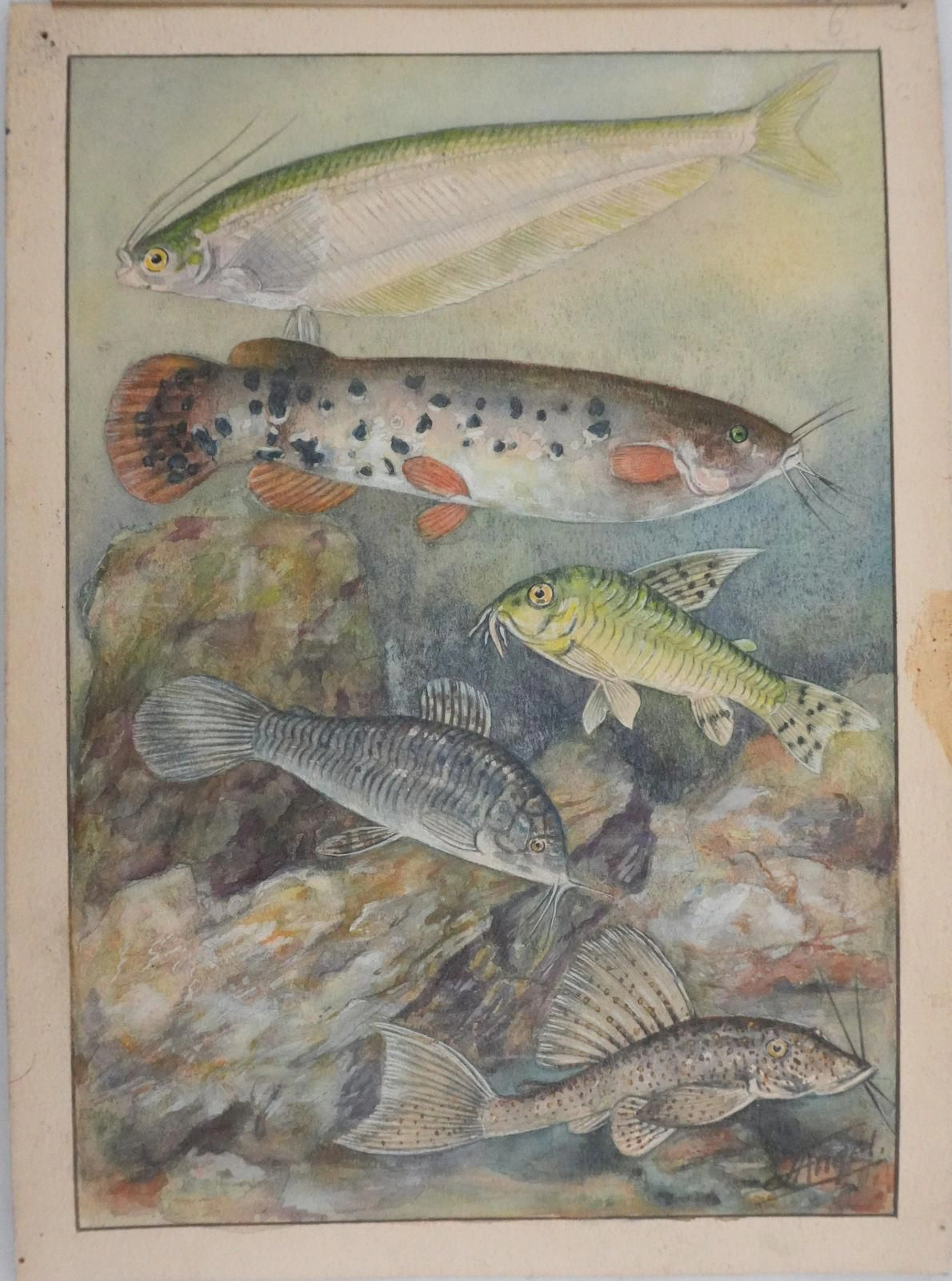 Fernand ANGEL (1881–1950) - Lot 2