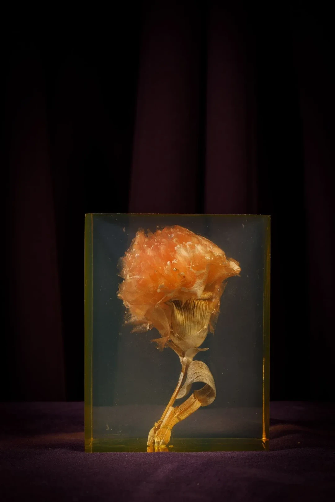 [ARTIFICIALIA] - Lot 203