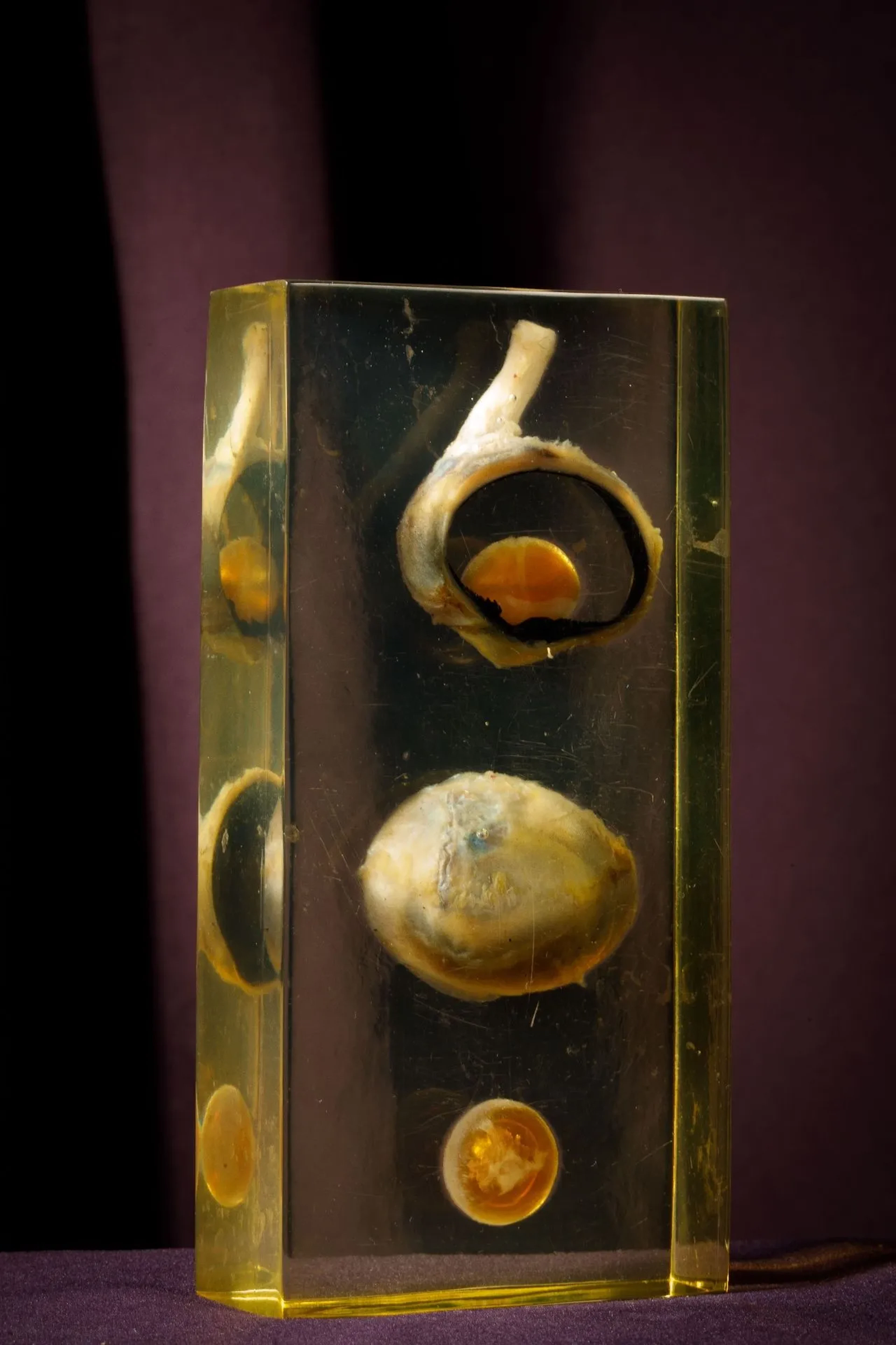 [ARTIFICIALIA] - Lot 230