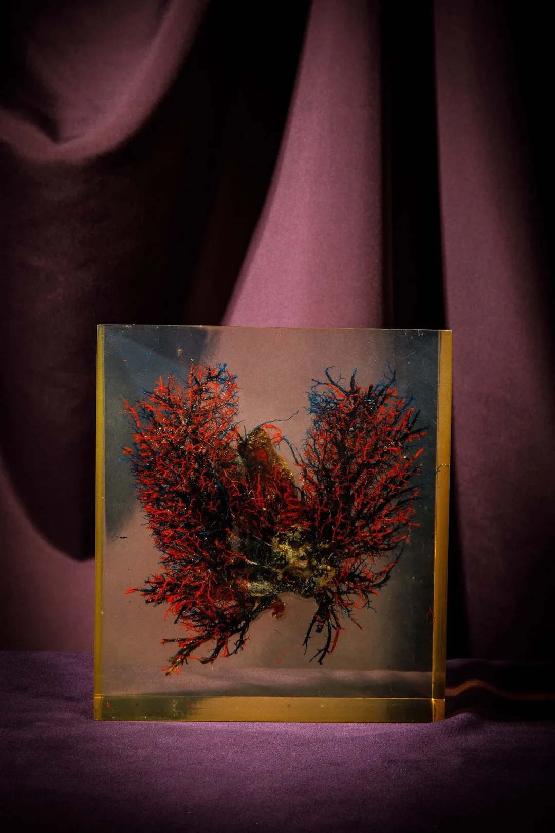 [ARTIFICIALIA] - Lot 236