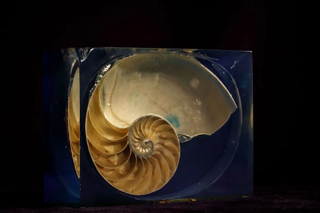 [ARTIFICIALIA] - Lot 23