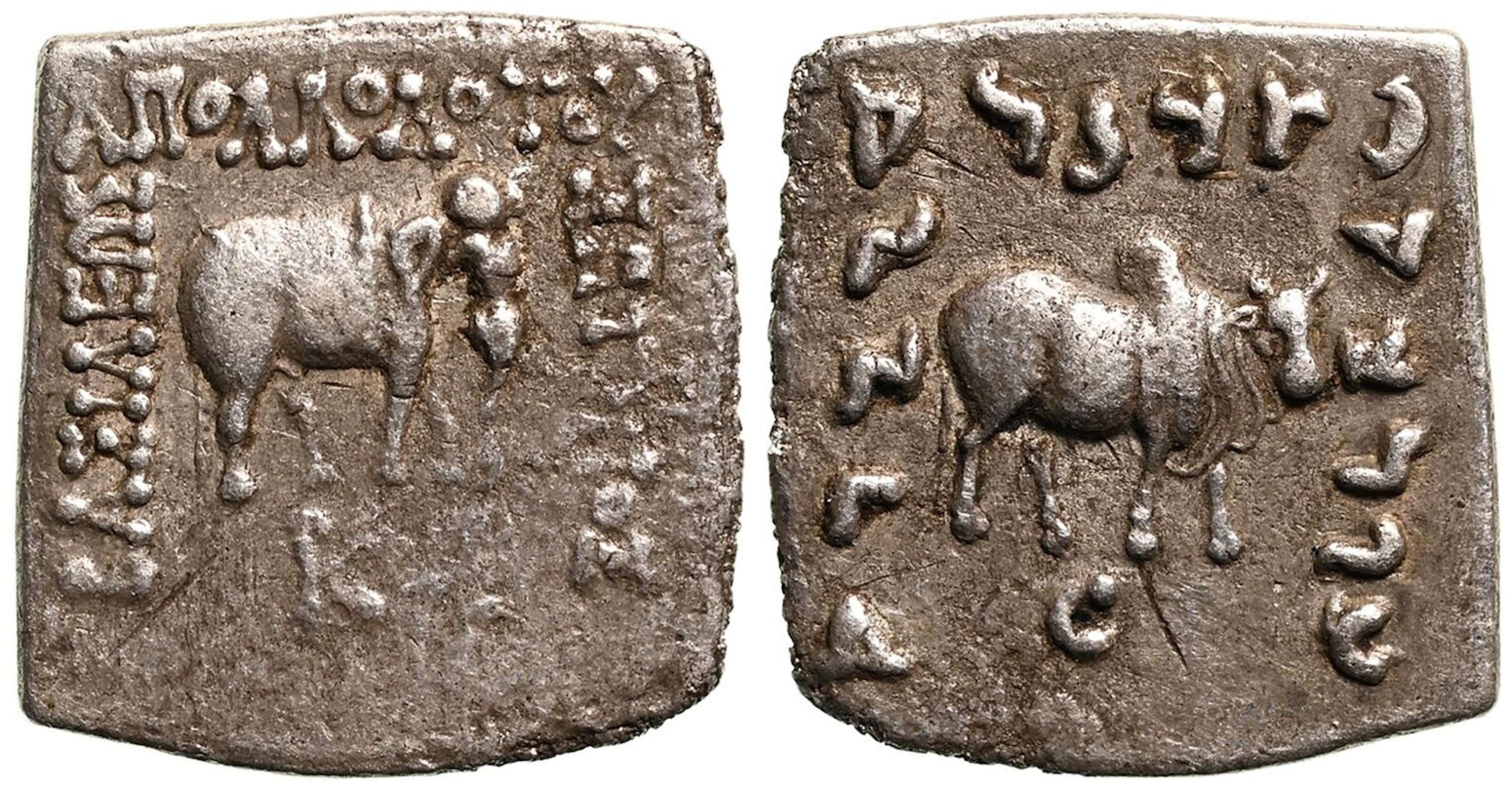 Greco-Baktrian Kingdom, Apollodotos I 'Soter' AR Drachm
