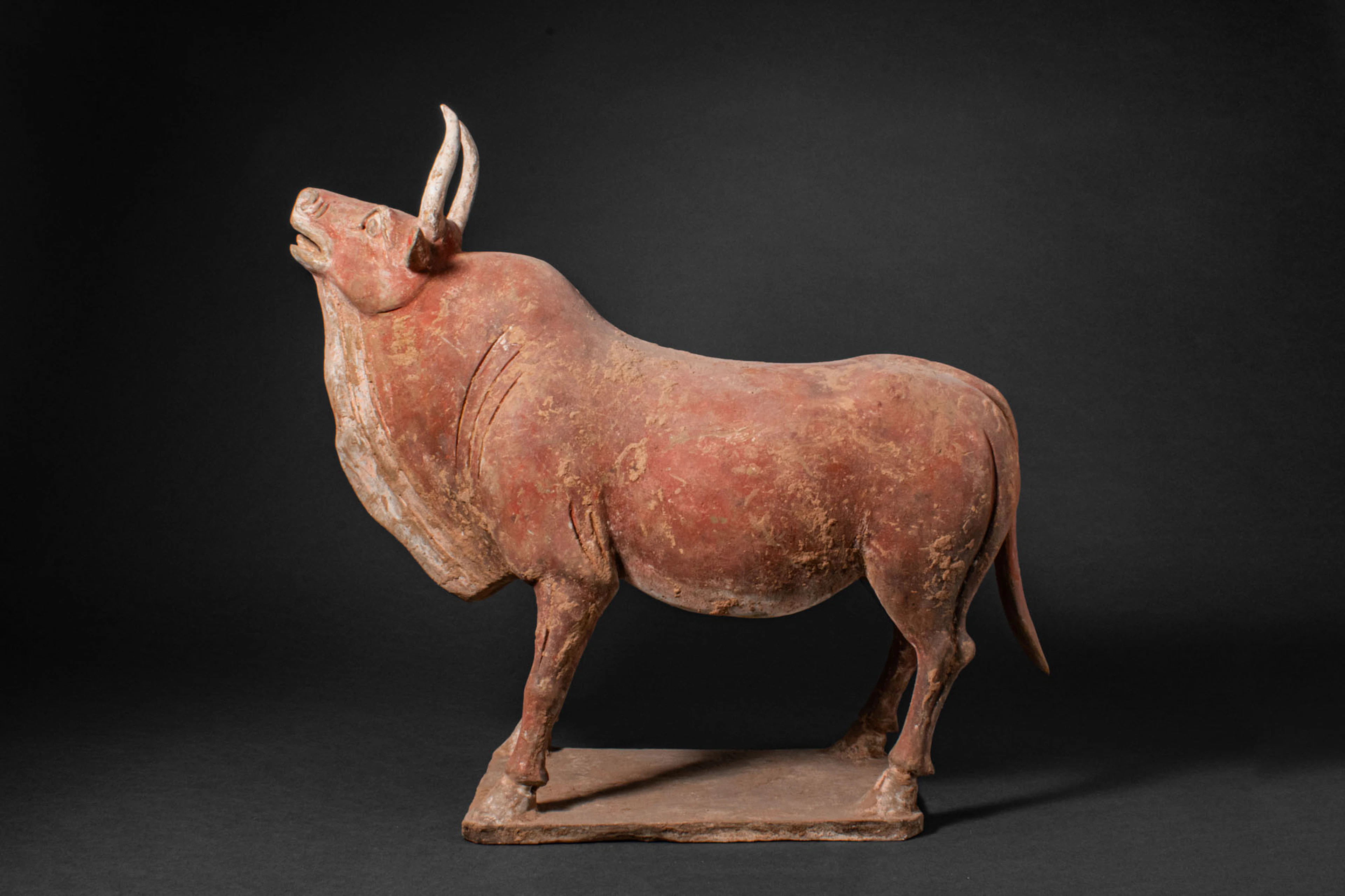 CHINESE TERRACOTTA PAINTED BULL - TL TESTED