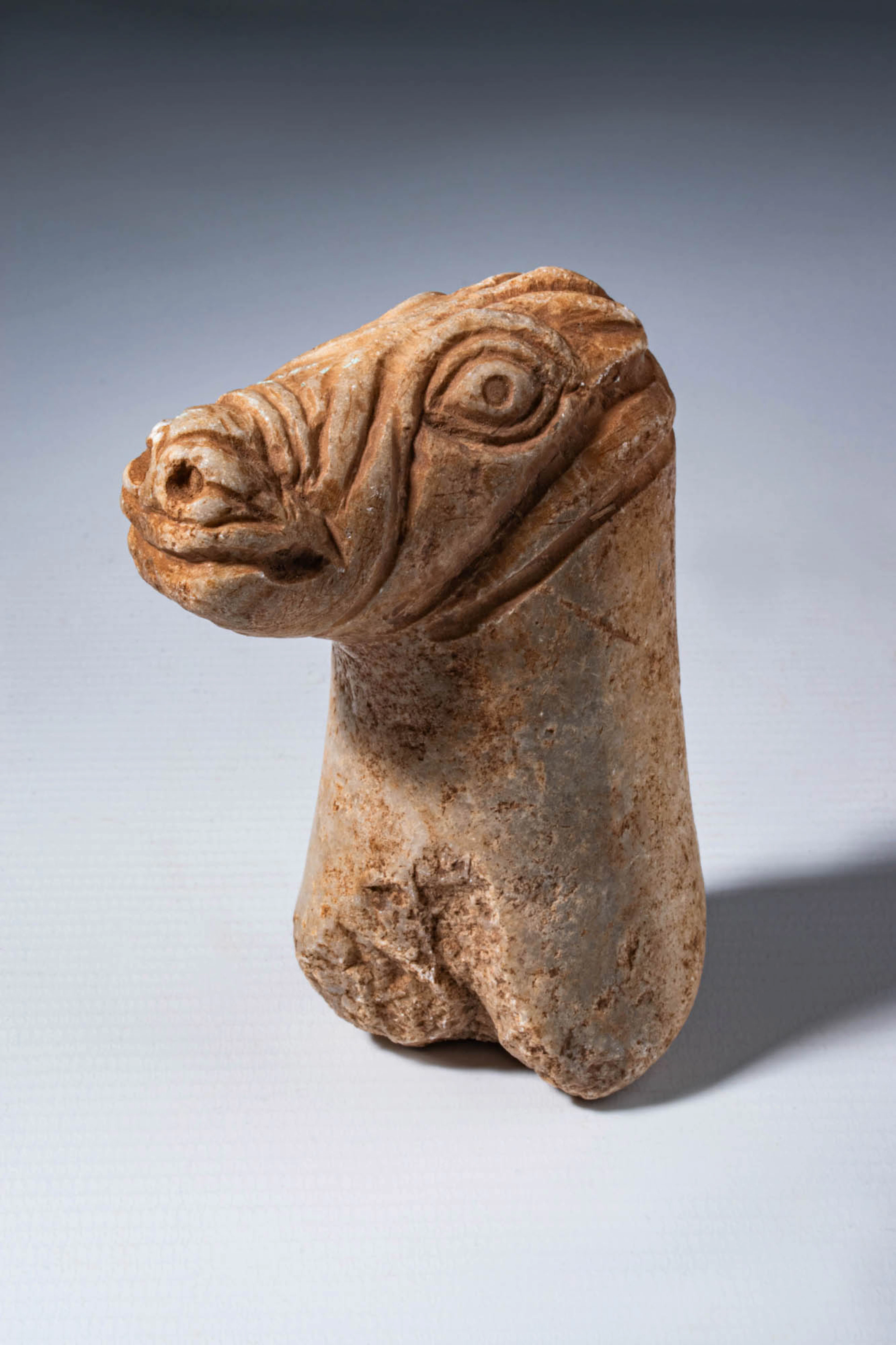 CYPRIOT STONE HEAD OF A HORSE