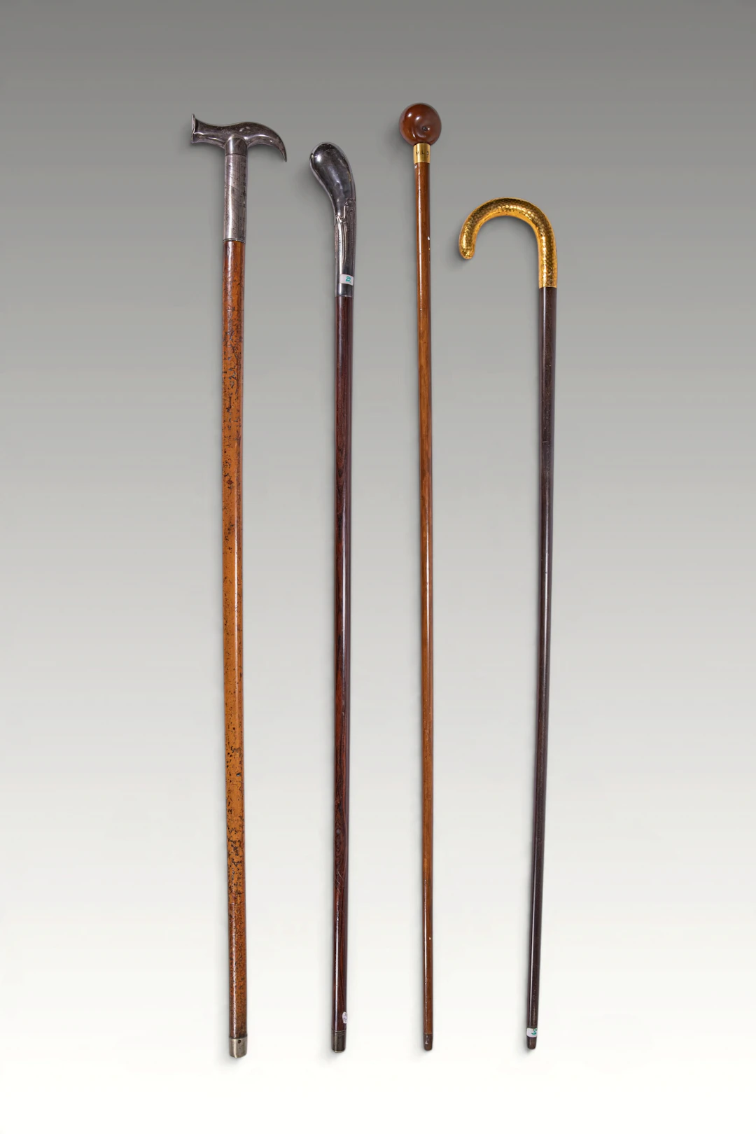 GROUP OF WALKING STICKS