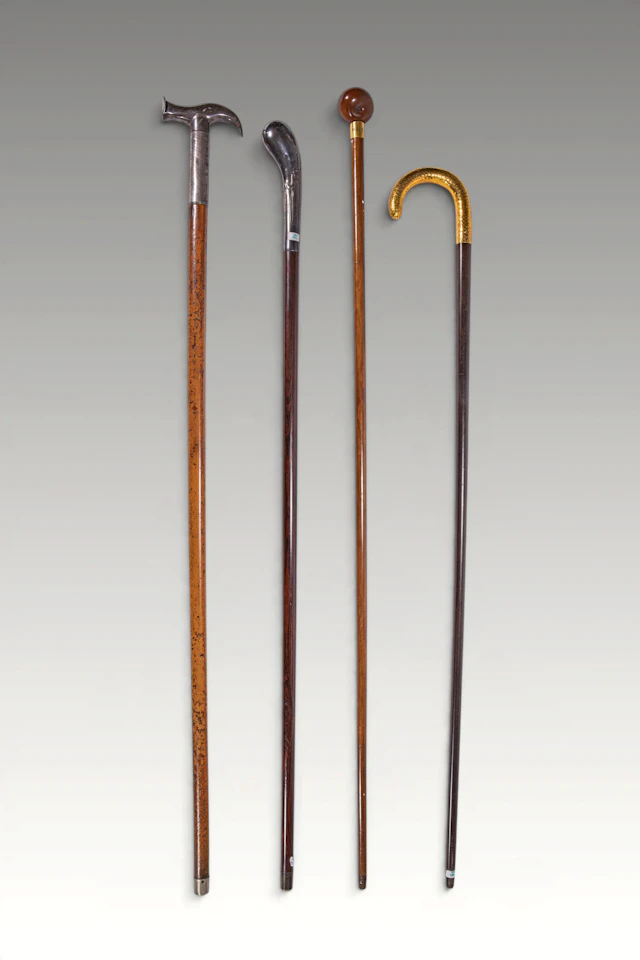 GROUP OF WALKING STICKS