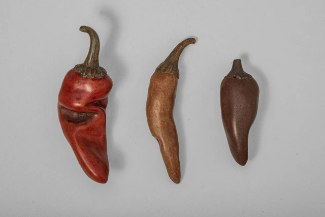GROUP OF YIXING SCULPTURAL MODELS OF CHILLIES, BY ZHOU DINGFANG