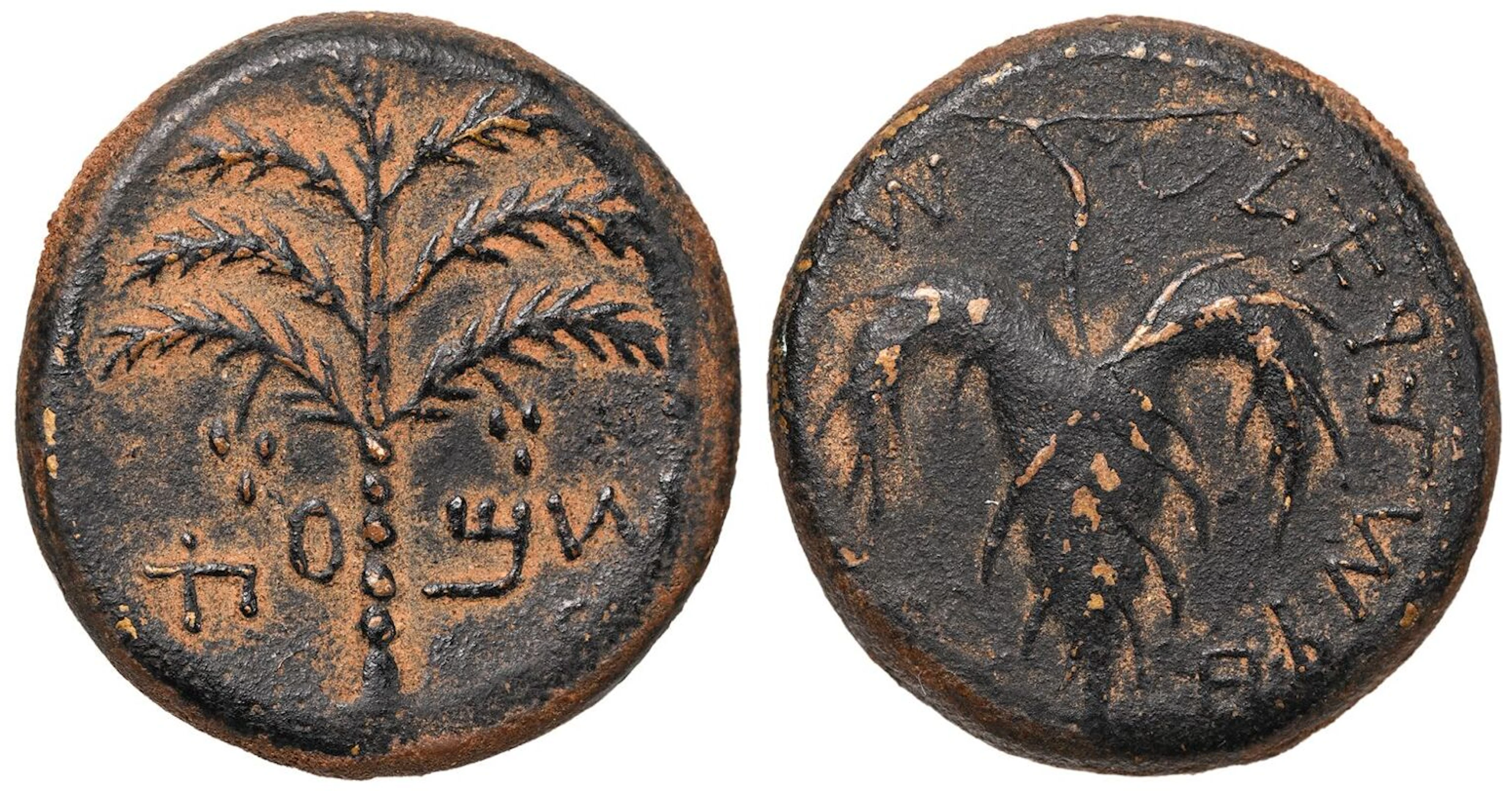 Judaea, Bar Kokhba Revolt (Second Jewish War) Æ26
