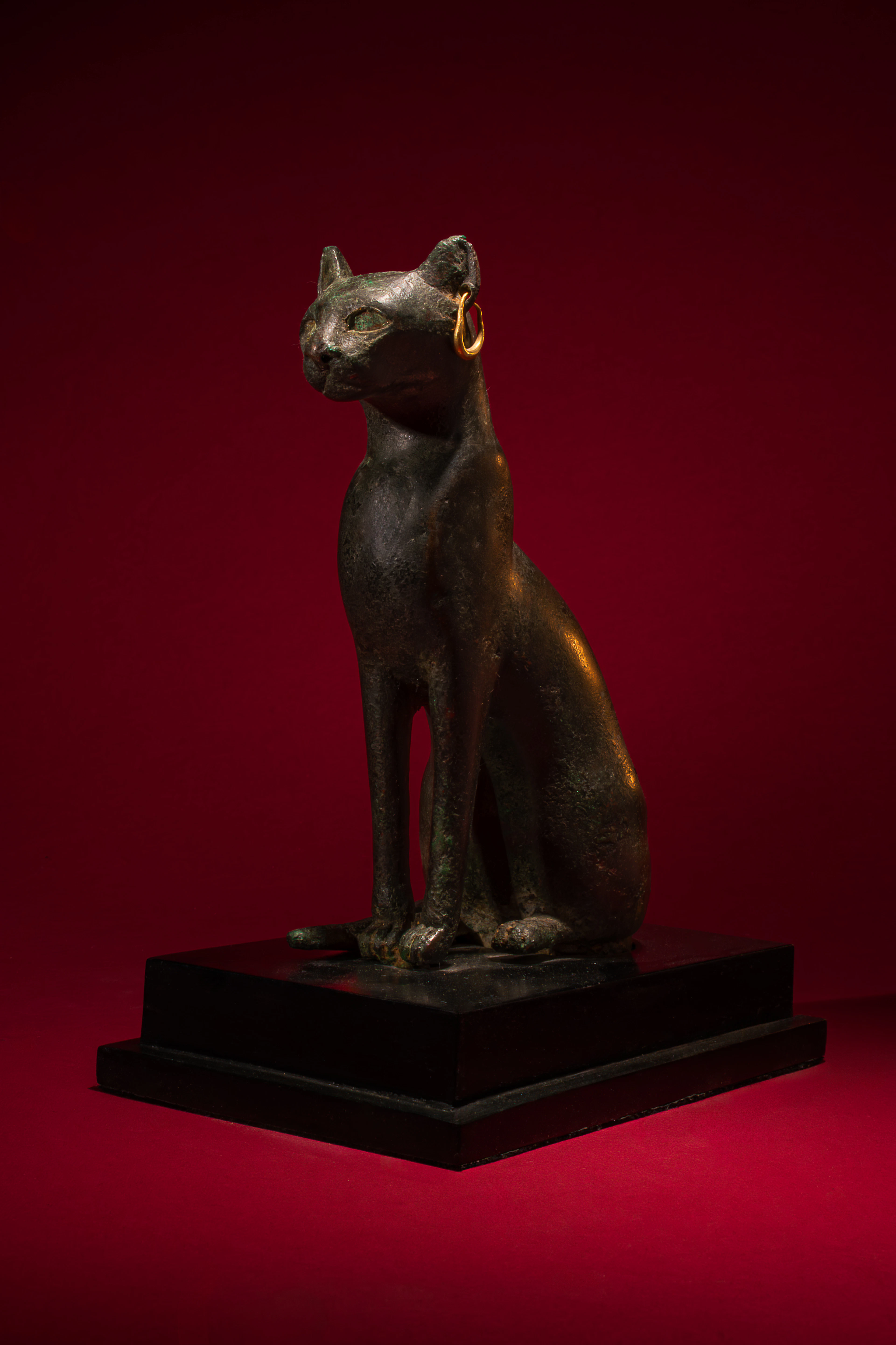RARE EGYPTIAN BRONZE CAT STATUETTE WITH GOLD EARRINGS - LARGE SIZE