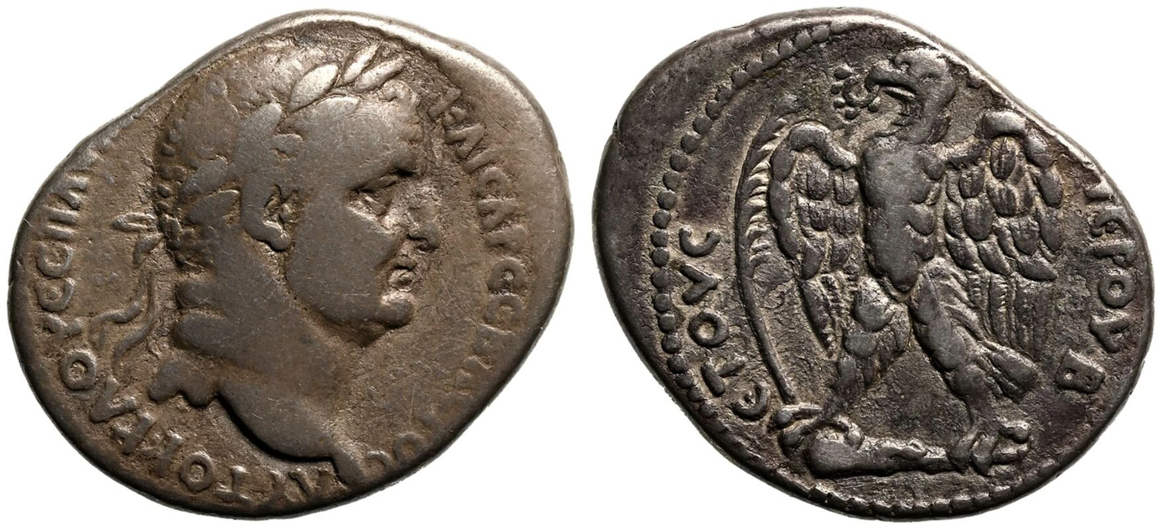 Roman Provincial: Seleucis and Pieria, Antioch Vespasian dated 'New