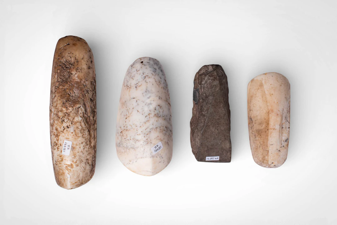 GROUP OF OCEANIC STONE IMPLEMENTS