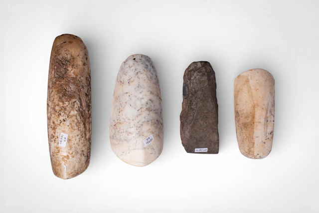 GROUP OF OCEANIC STONE IMPLEMENTS