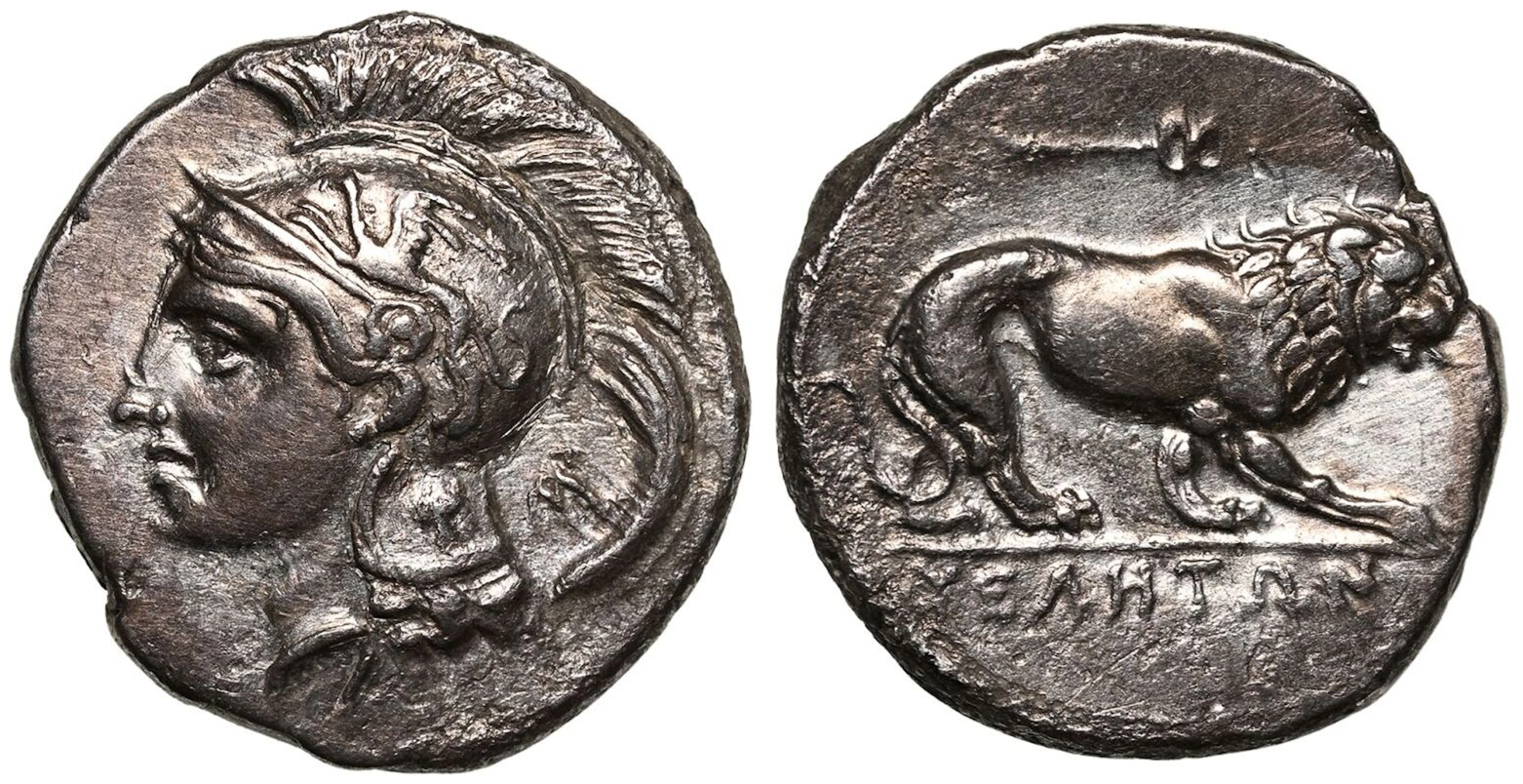 Lucania, Velia, AR Didrachm