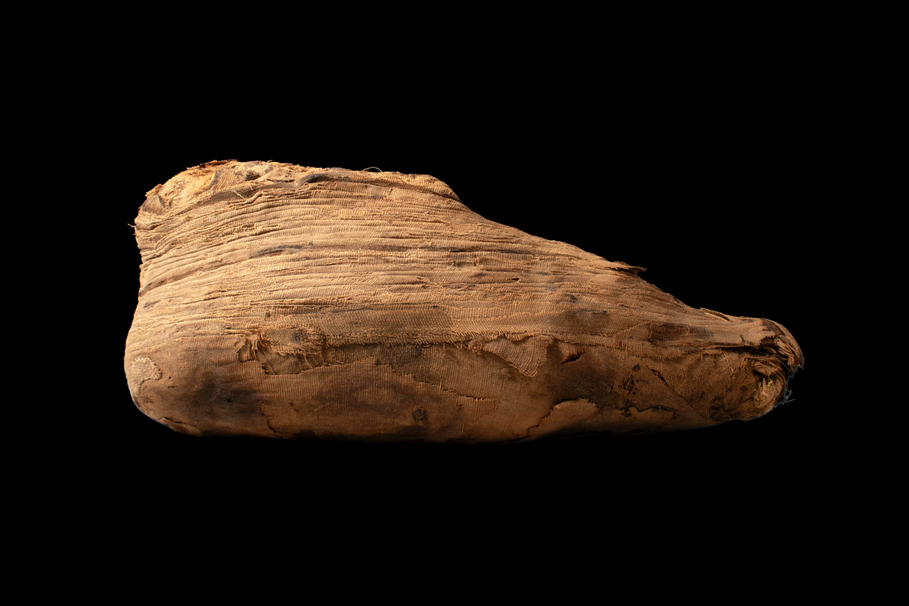 EGYPTIAN MUMMY OF IBIS