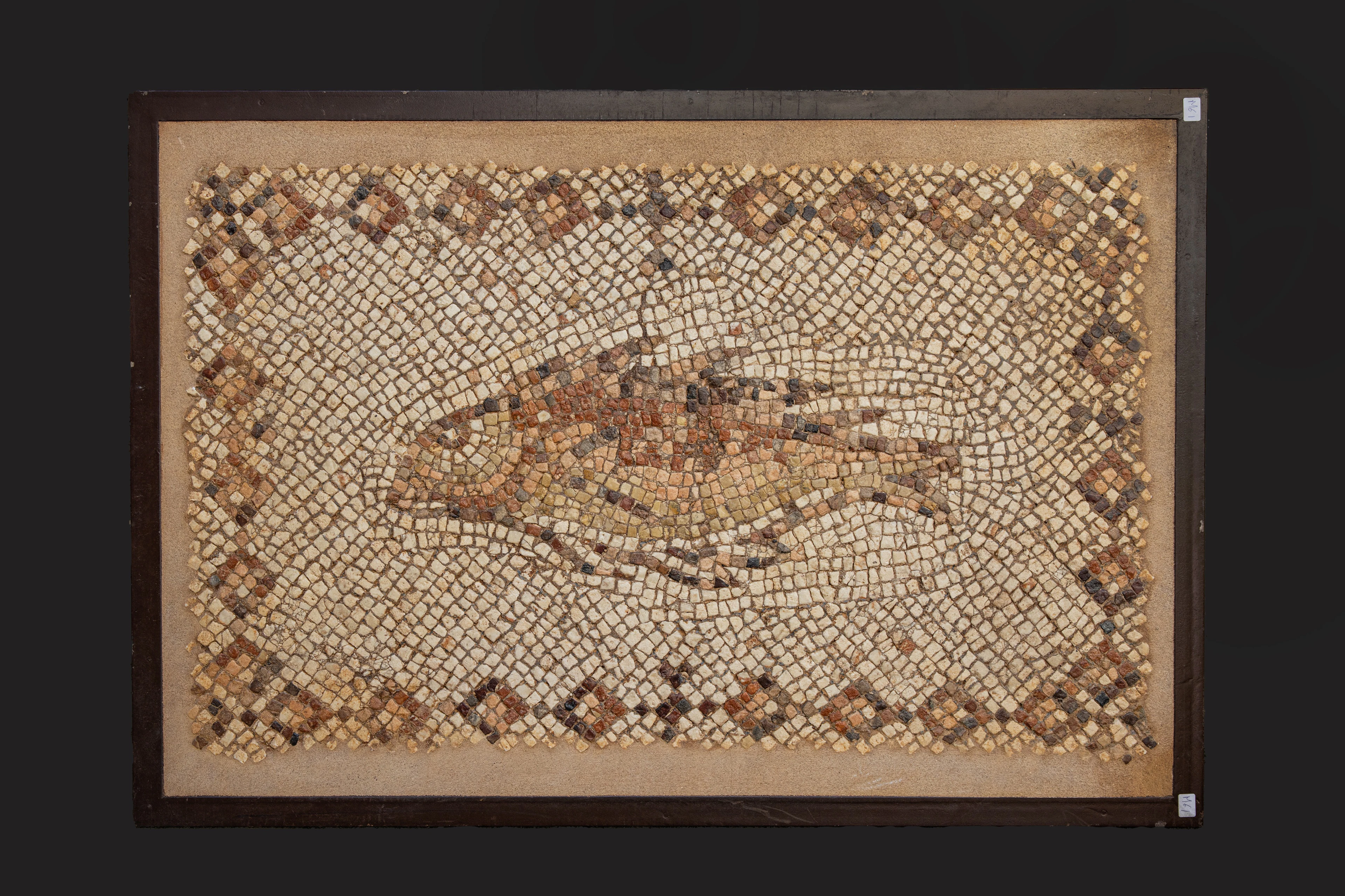 STUNNING ROMAN MOSAIC PANEL WITH FISH AND GEOMETRIC BORDER