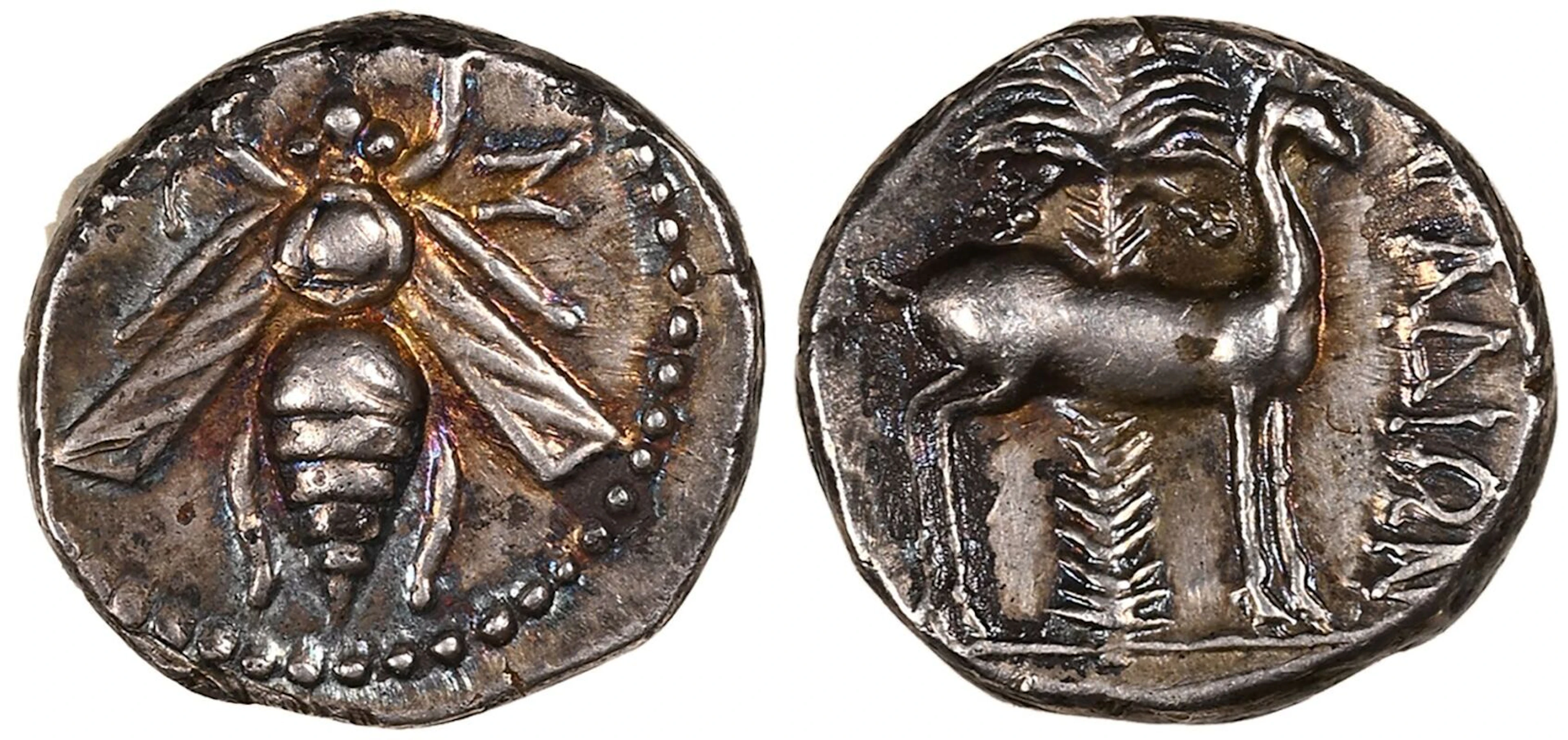Phoenicia, Arados, AR Drachm