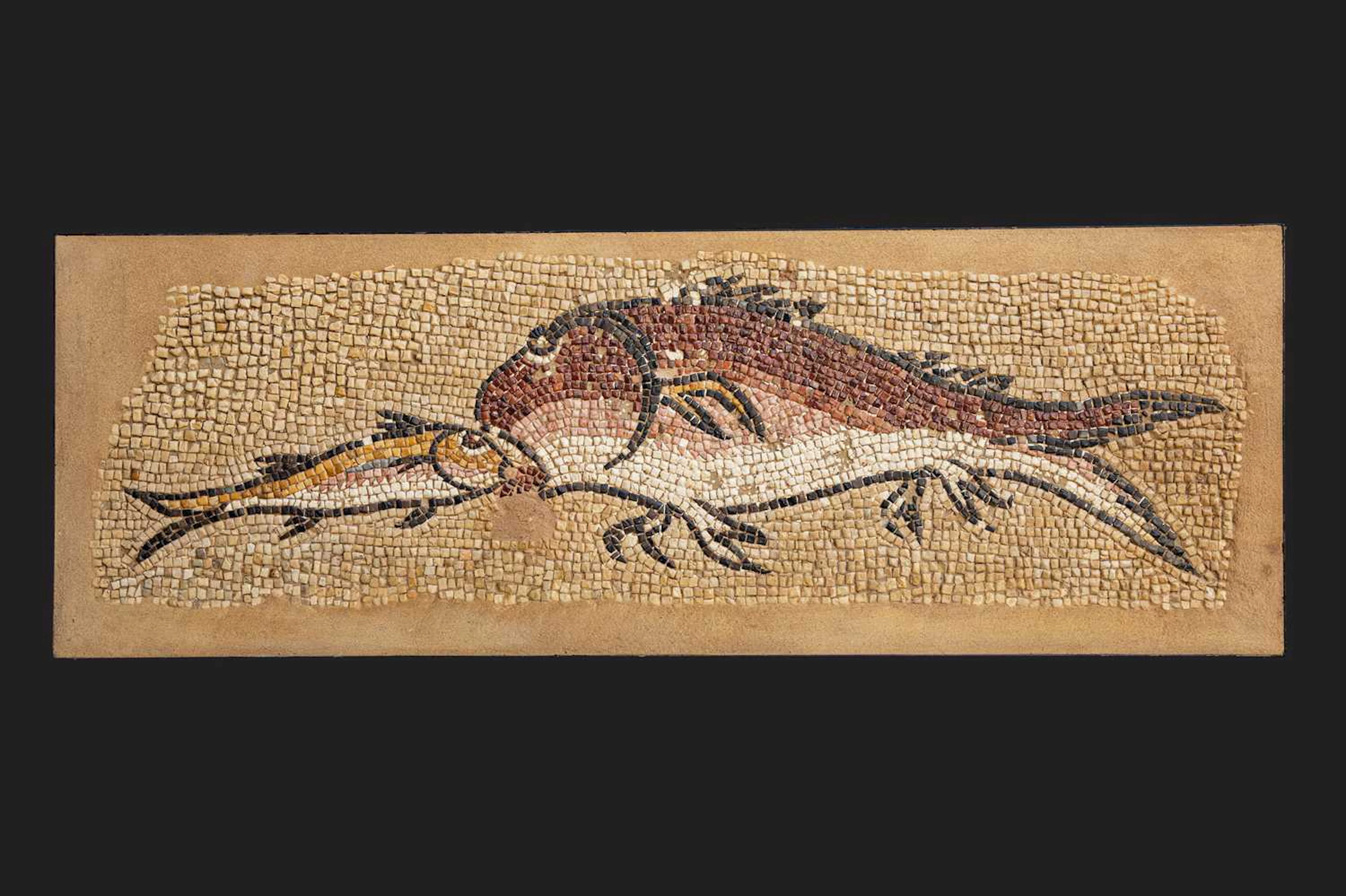 LATE ROMAN MOSAIC PANEL WITH TWO FISHES