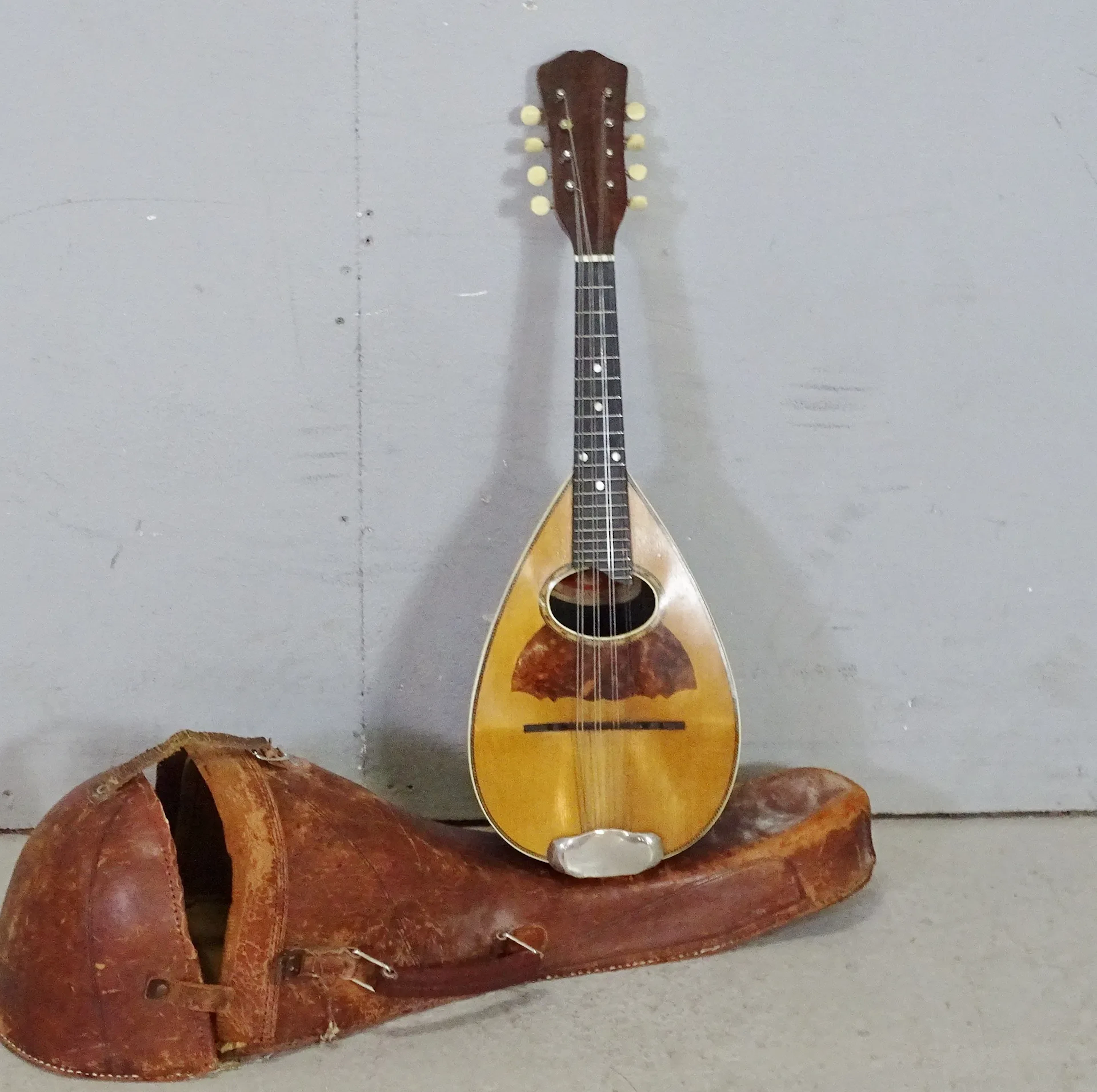 Mandolin, Vega Company of Boston
